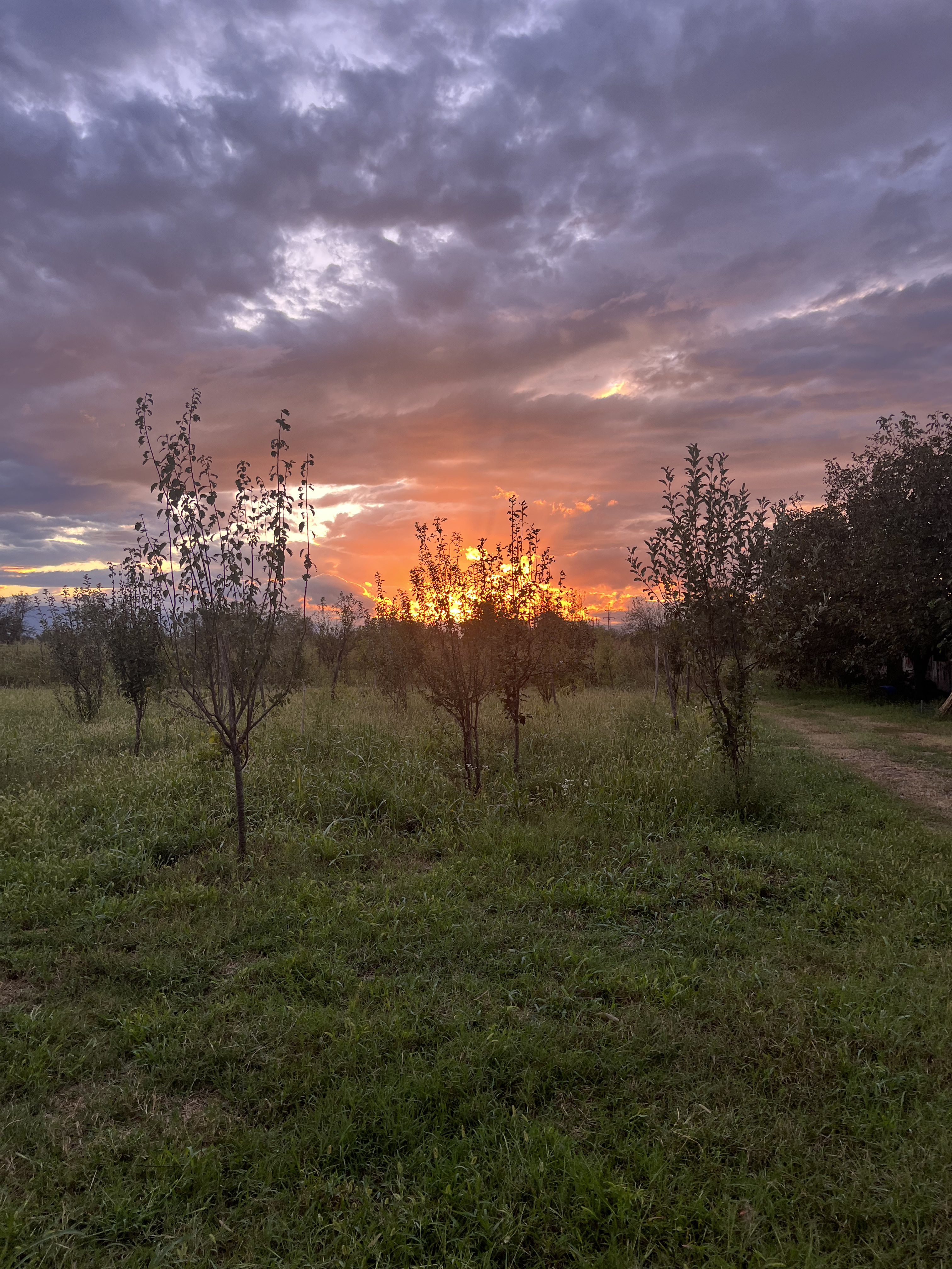 8 улетных дней в Армении и Грузии +винный фестиваль (114/167)