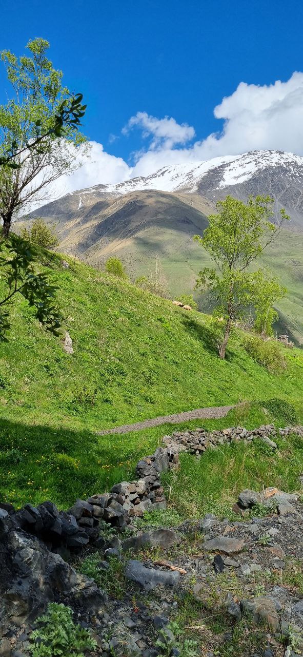 Пятидневка по - Дагестански: жарко, вкусно, незабываемо. Все включено (21/34)
