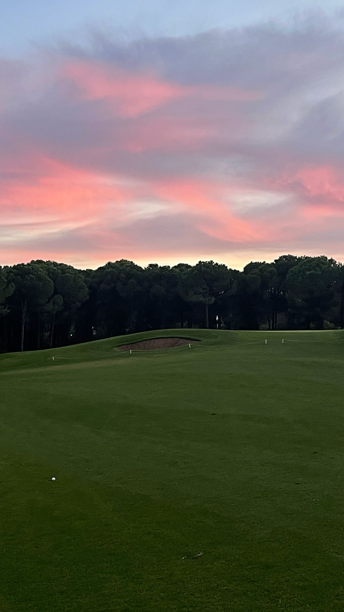 Гольф. Искусство первого удара. (4/9)