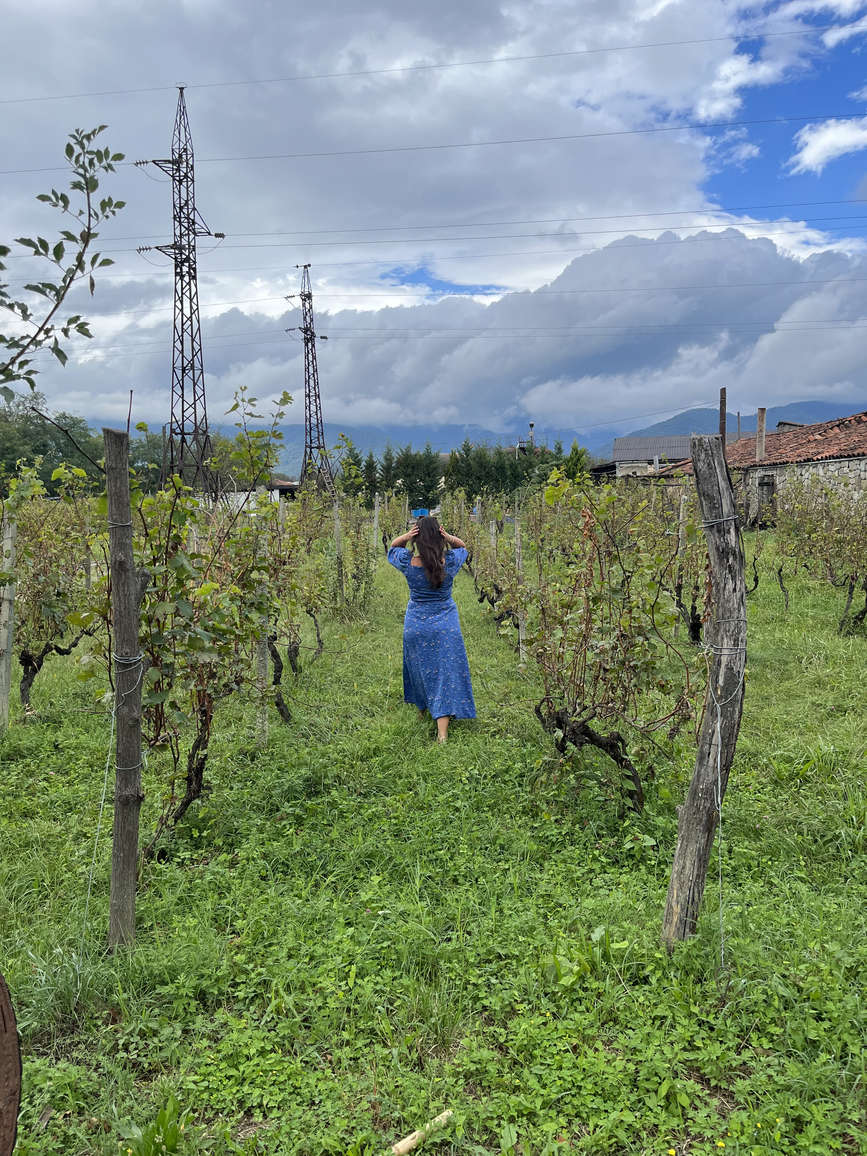 8 улетных дней в Армении и Грузии +винный фестиваль (113/167)