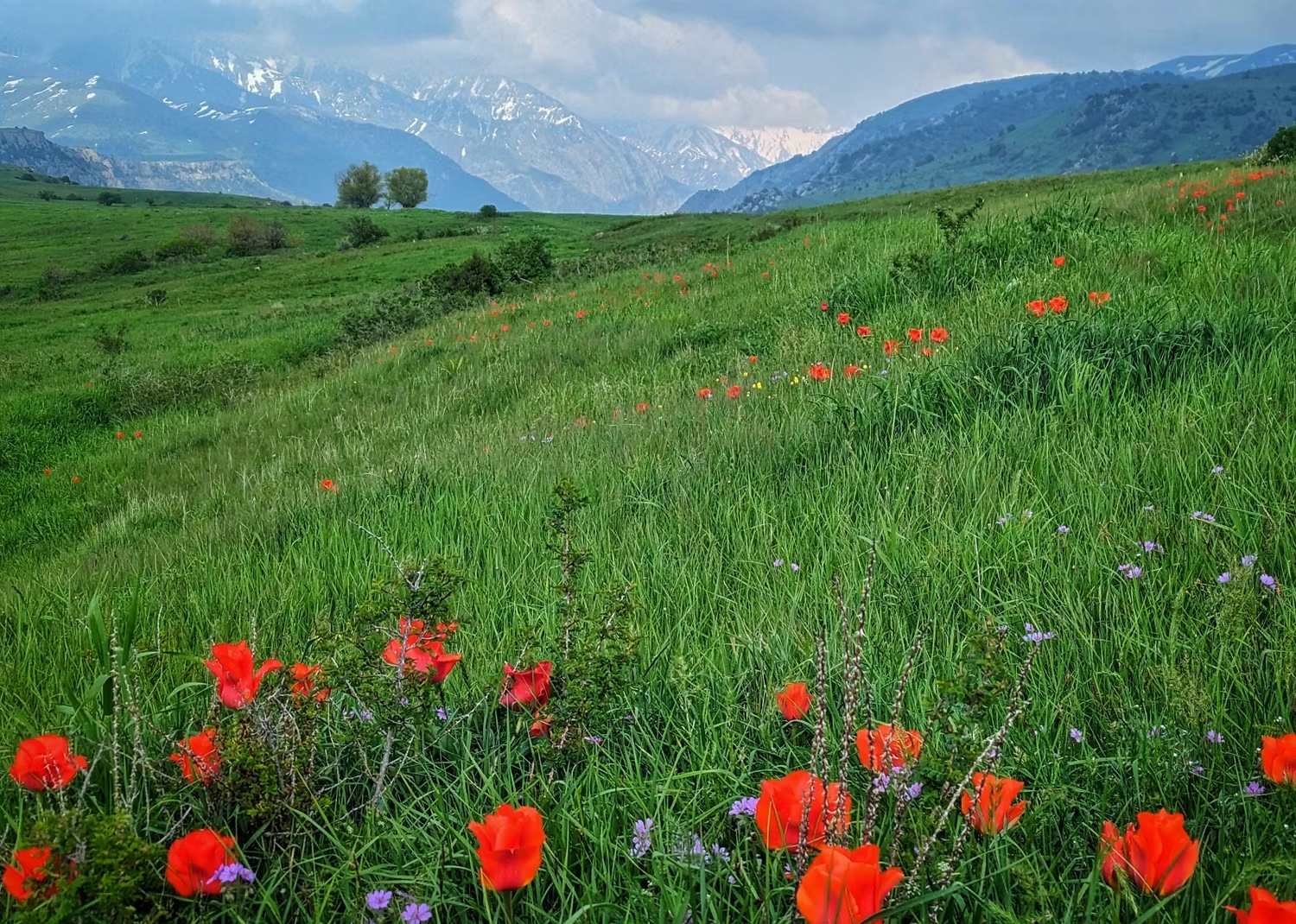 Юг Казахстана: от Шымкента до Туркестана за 5 дней (13/20)
