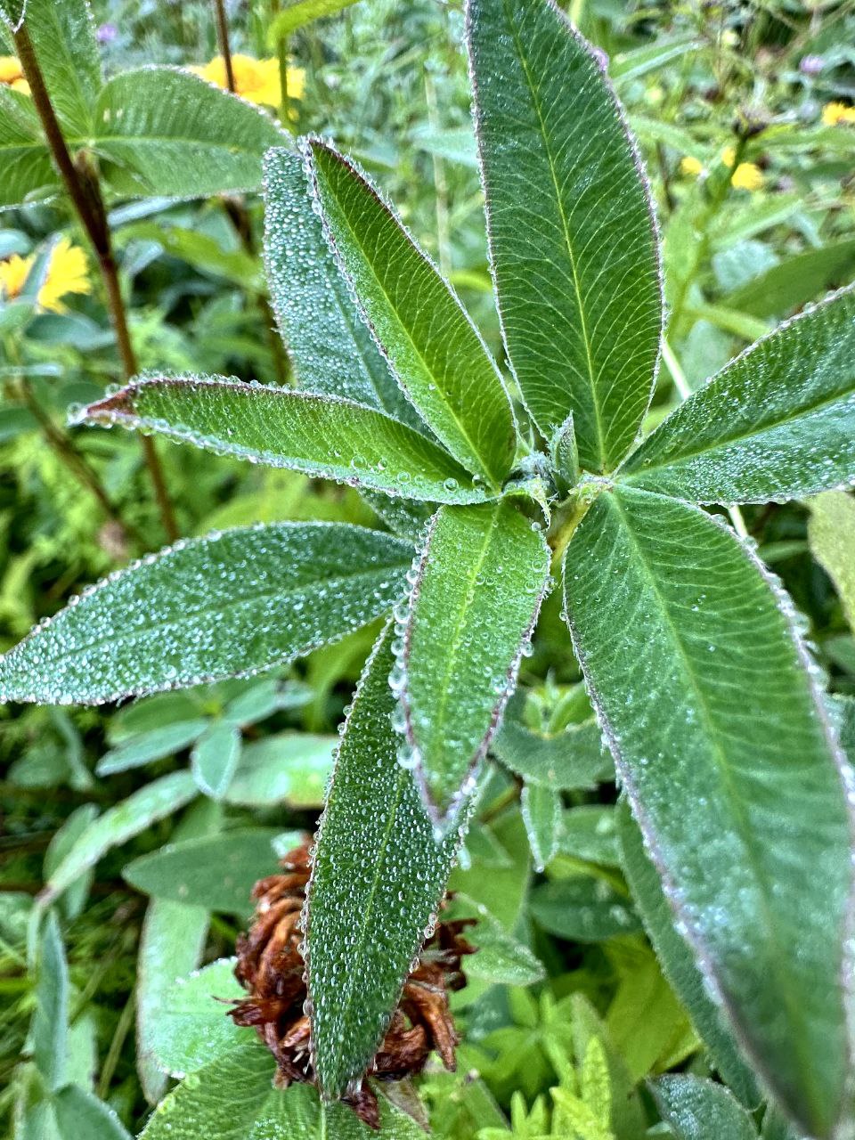 Сплав по Чусовой: вниз по реке теснин (4/17)