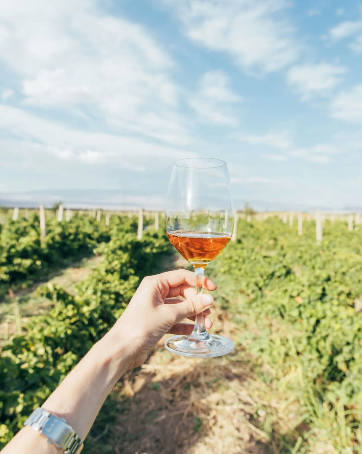 8 улетных дней в Армении и Грузии +винный фестиваль (131/167)