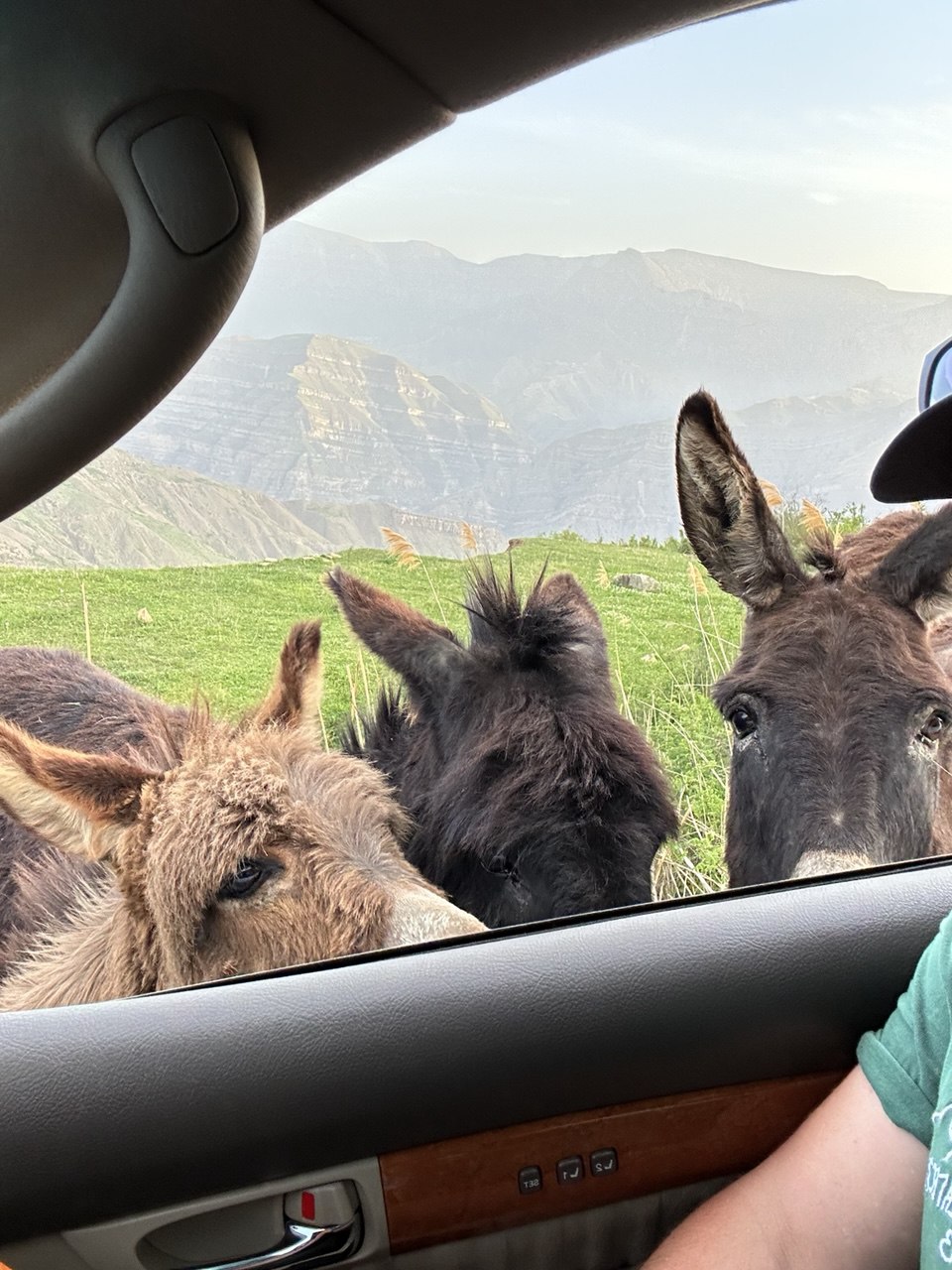 Мелодия Дагестана: 5 дней Всё включено! (106/436)