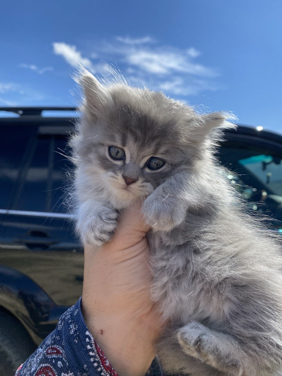 Мелодия Дагестана: 5 дней Всё включено! (87/436)