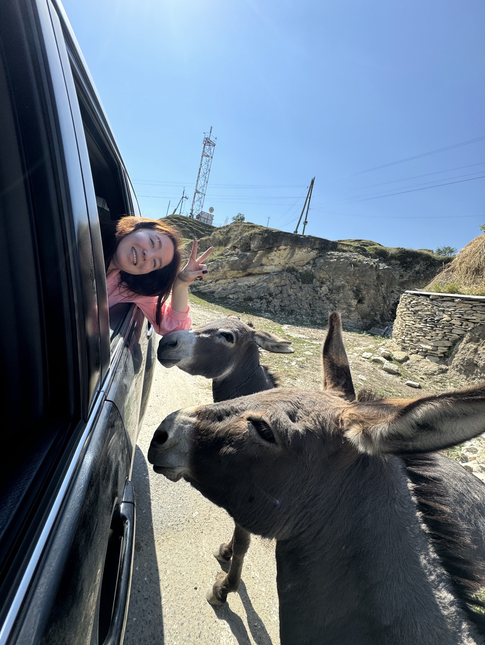 Мелодия Дагестана: 5 дней Всё включено! (29/436)