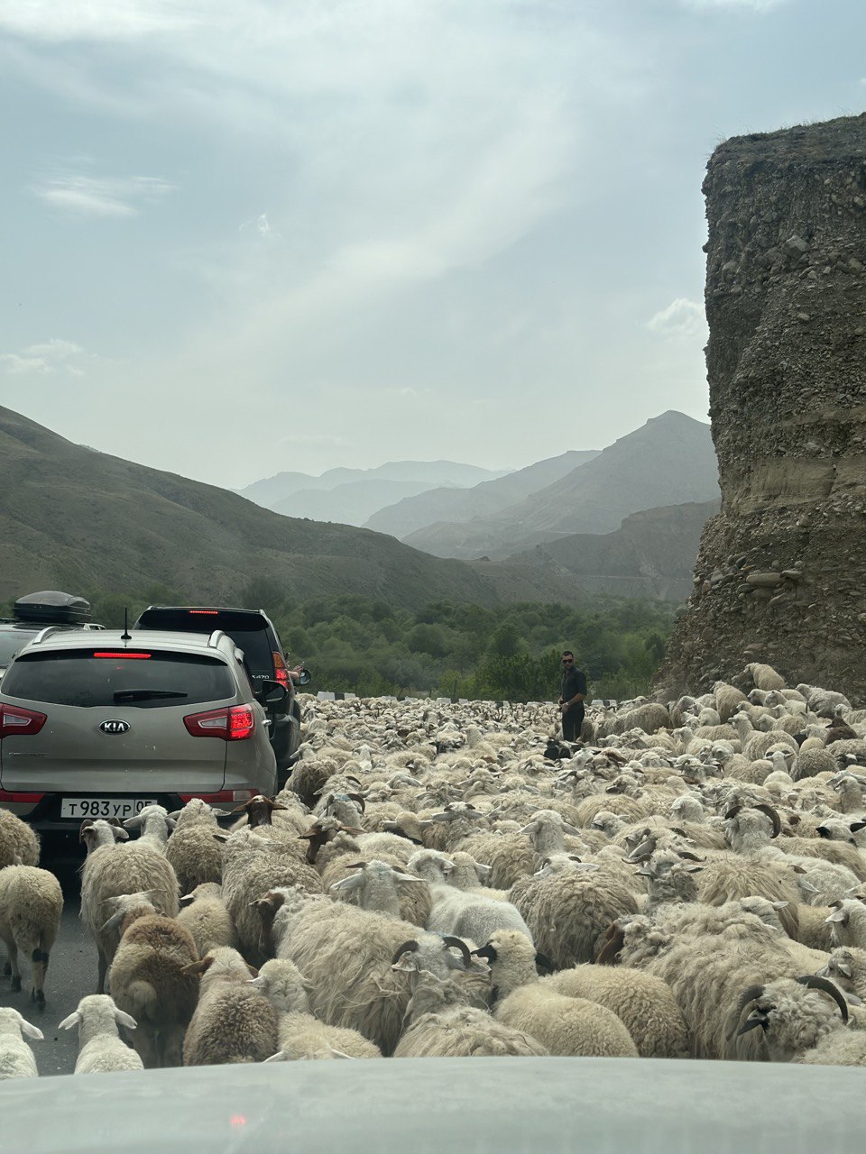 Мелодия Дагестана: 5 дней Всё включено! (95/436)