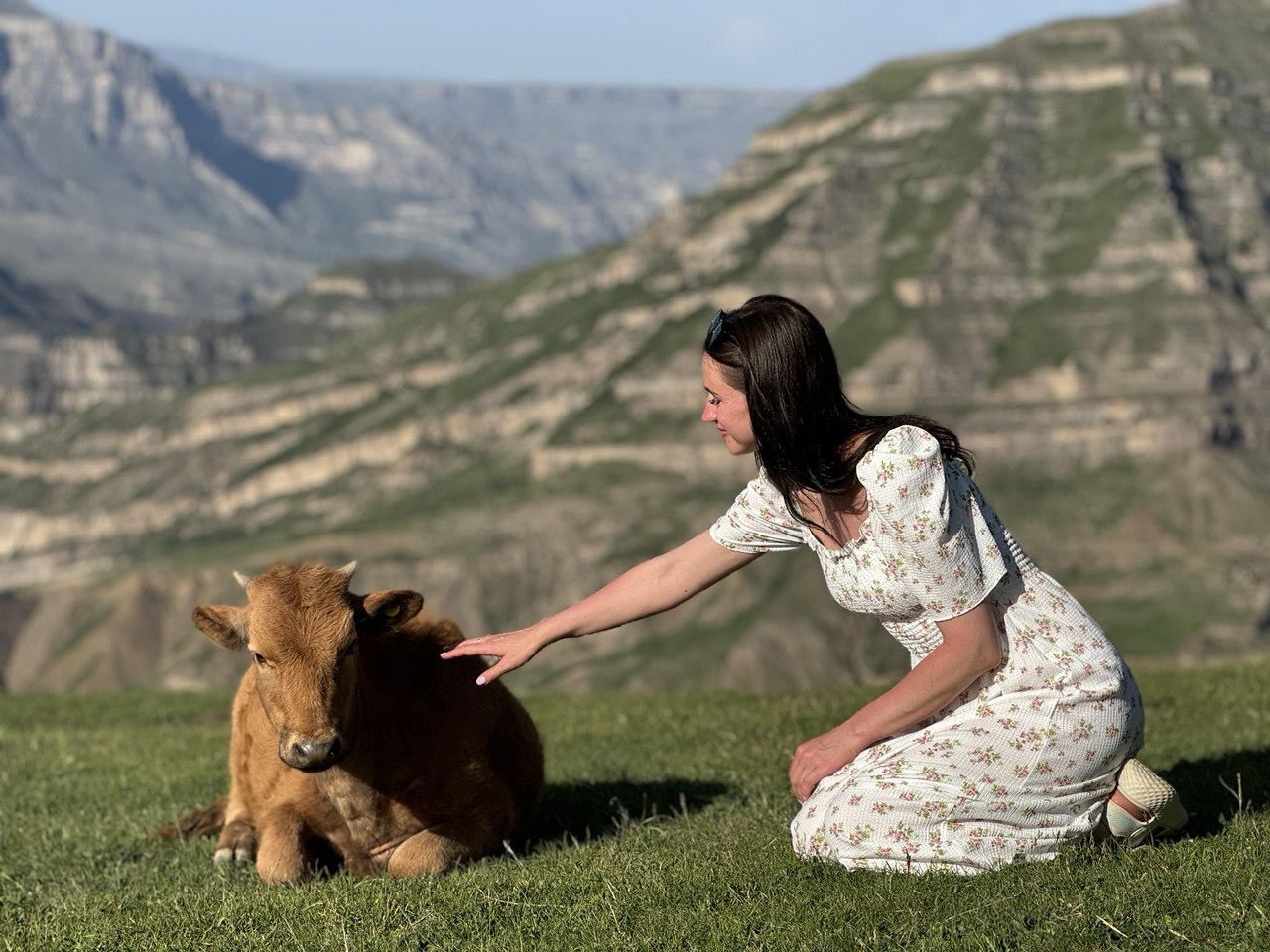 Мелодия Дагестана: 5 дней Всё включено! (122/436)