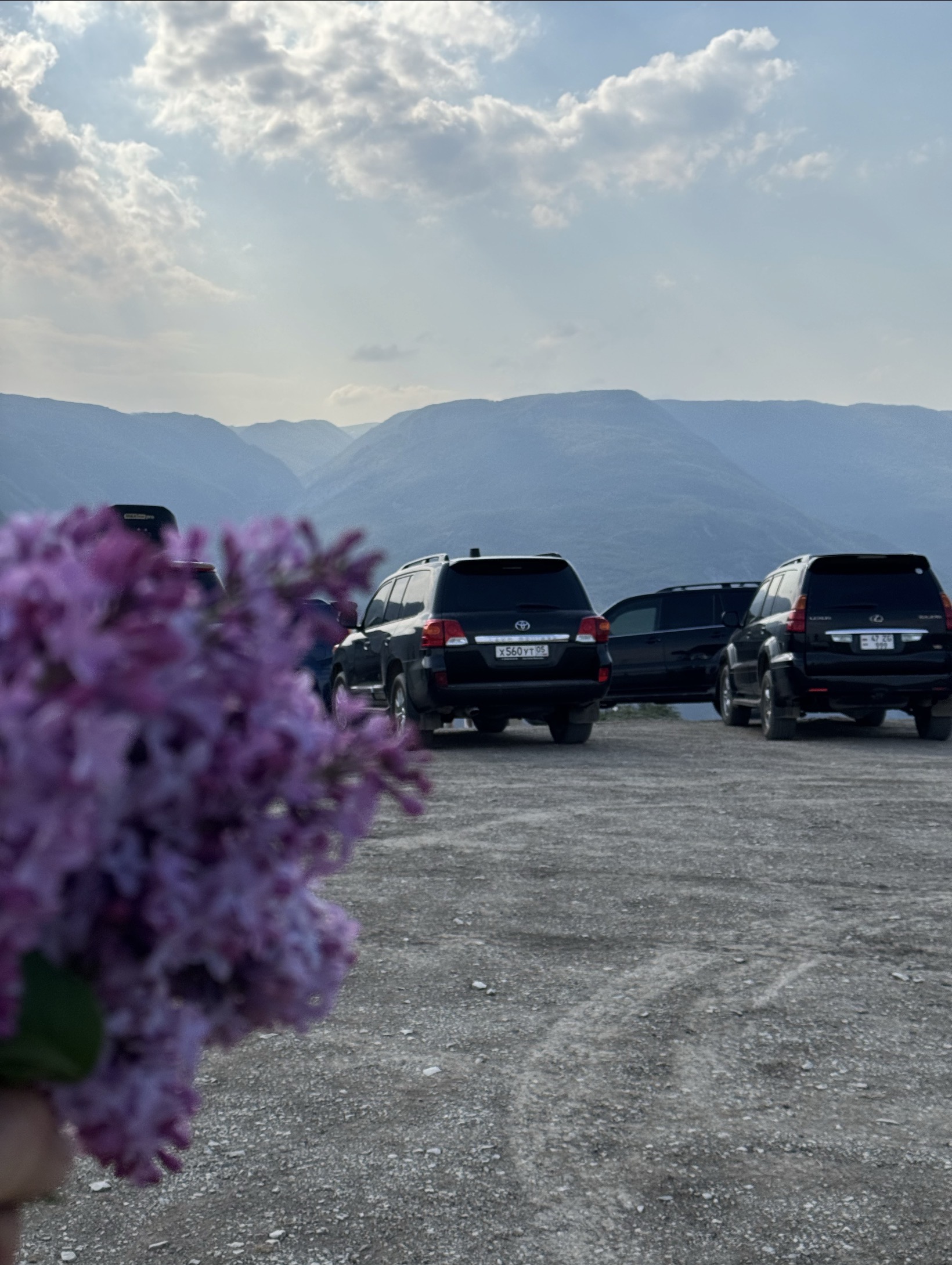 Мелодия Дагестана: 5 дней Всё включено! (40/436)