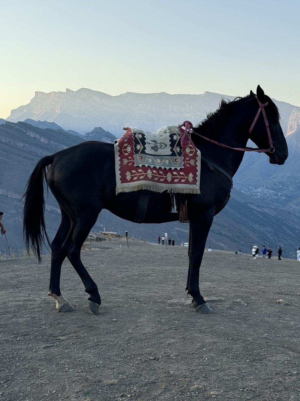 Мелодия Дагестана: 5 дней Всё включено! (136/436)