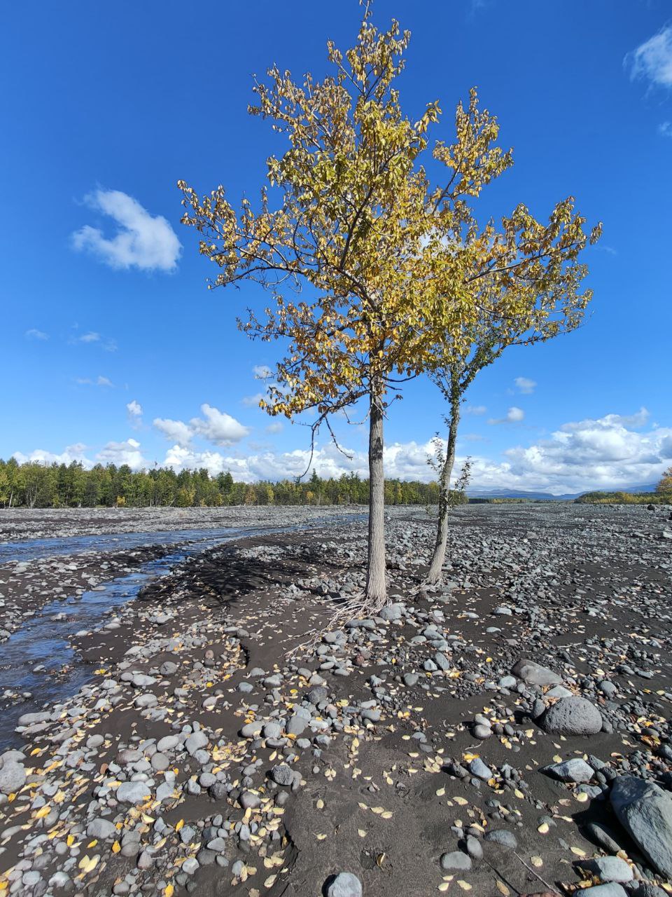 Путешествие в сердце Камчатки (тур для компаний 1-4 чел., цена за всех) (6/28)