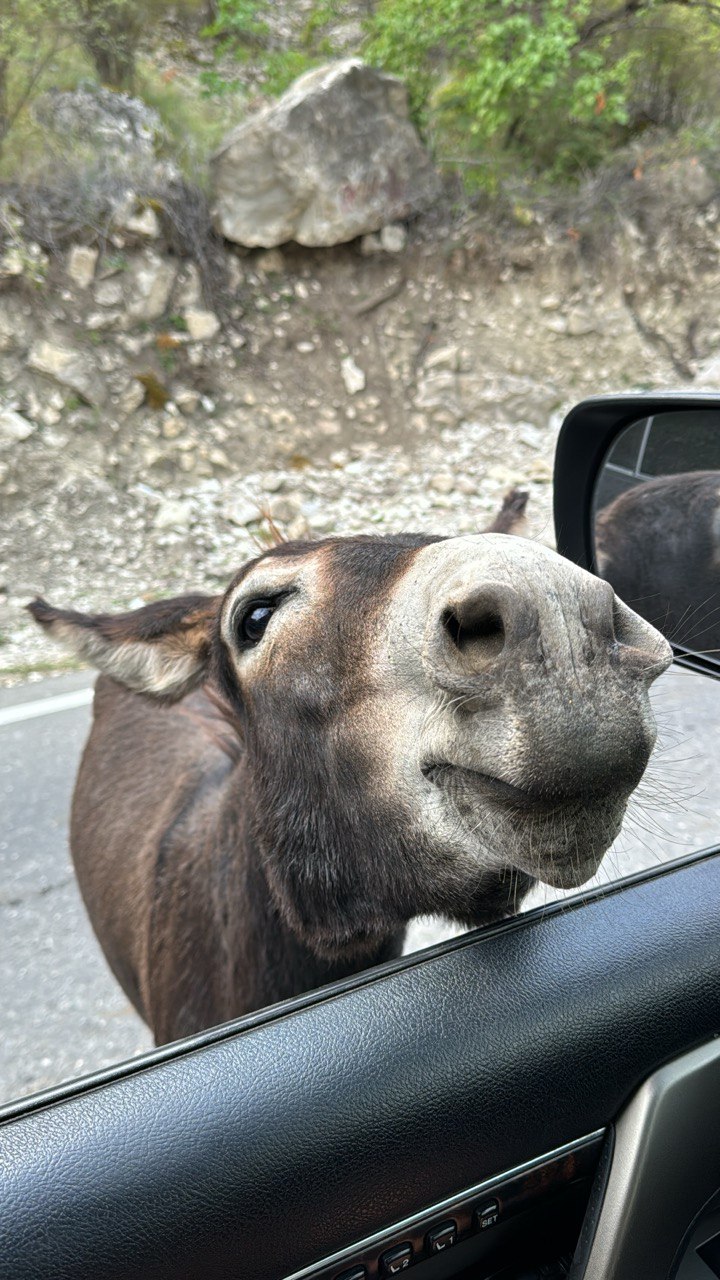 Мелодия Дагестана: 5 дней Всё включено! (43/436)