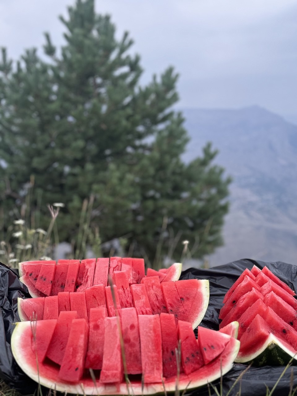 Мелодия Дагестана: 5 дней Всё включено! (58/436)