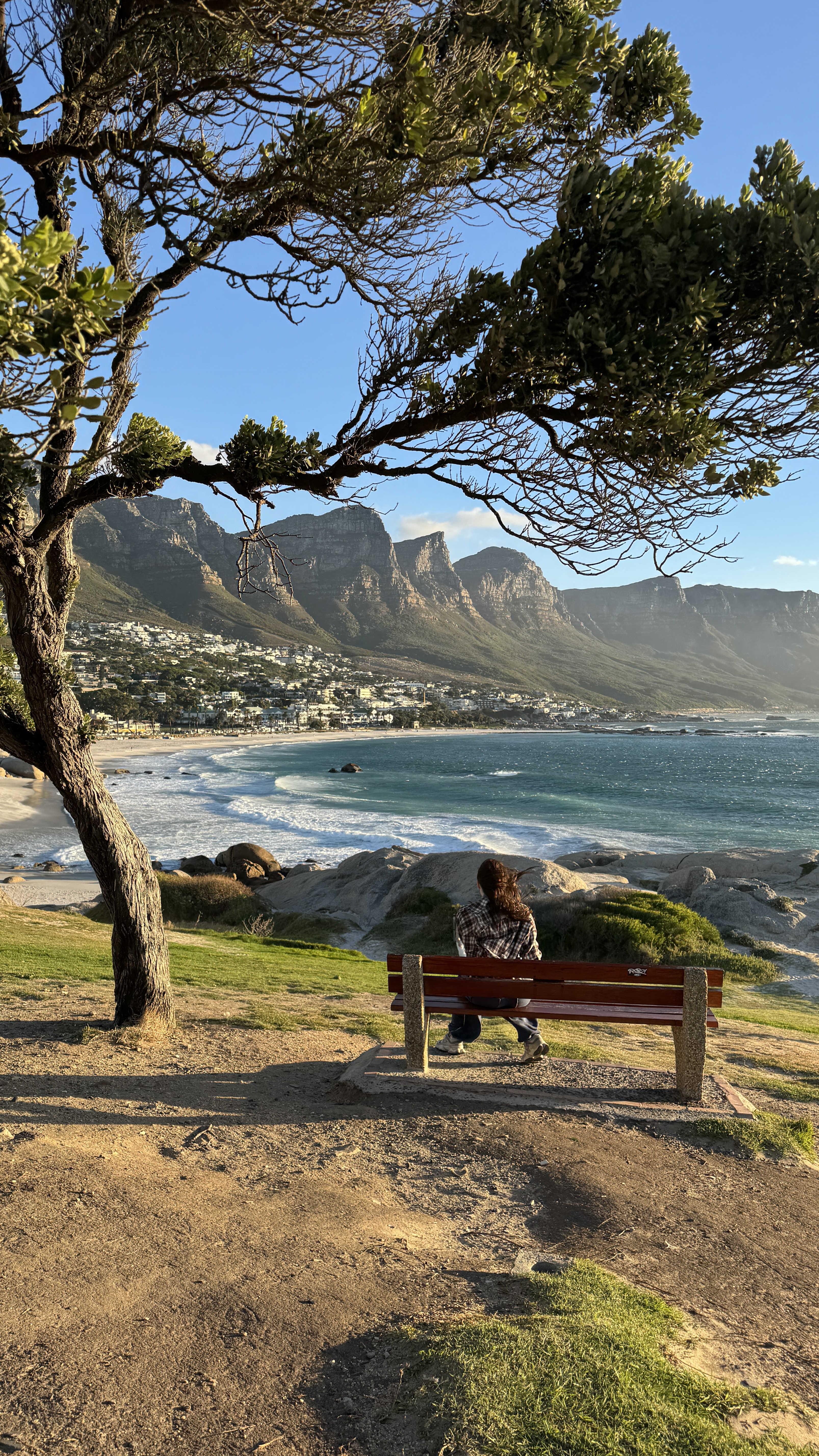 Девичник мечты в Кейптауне на 8 марта: океан, сафари и винные долины (6/35)