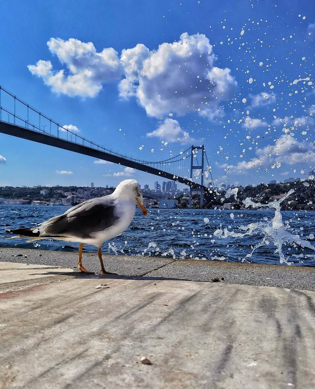 Стамбул индивидуальный: скрытая красота Азиатской части (14/15)