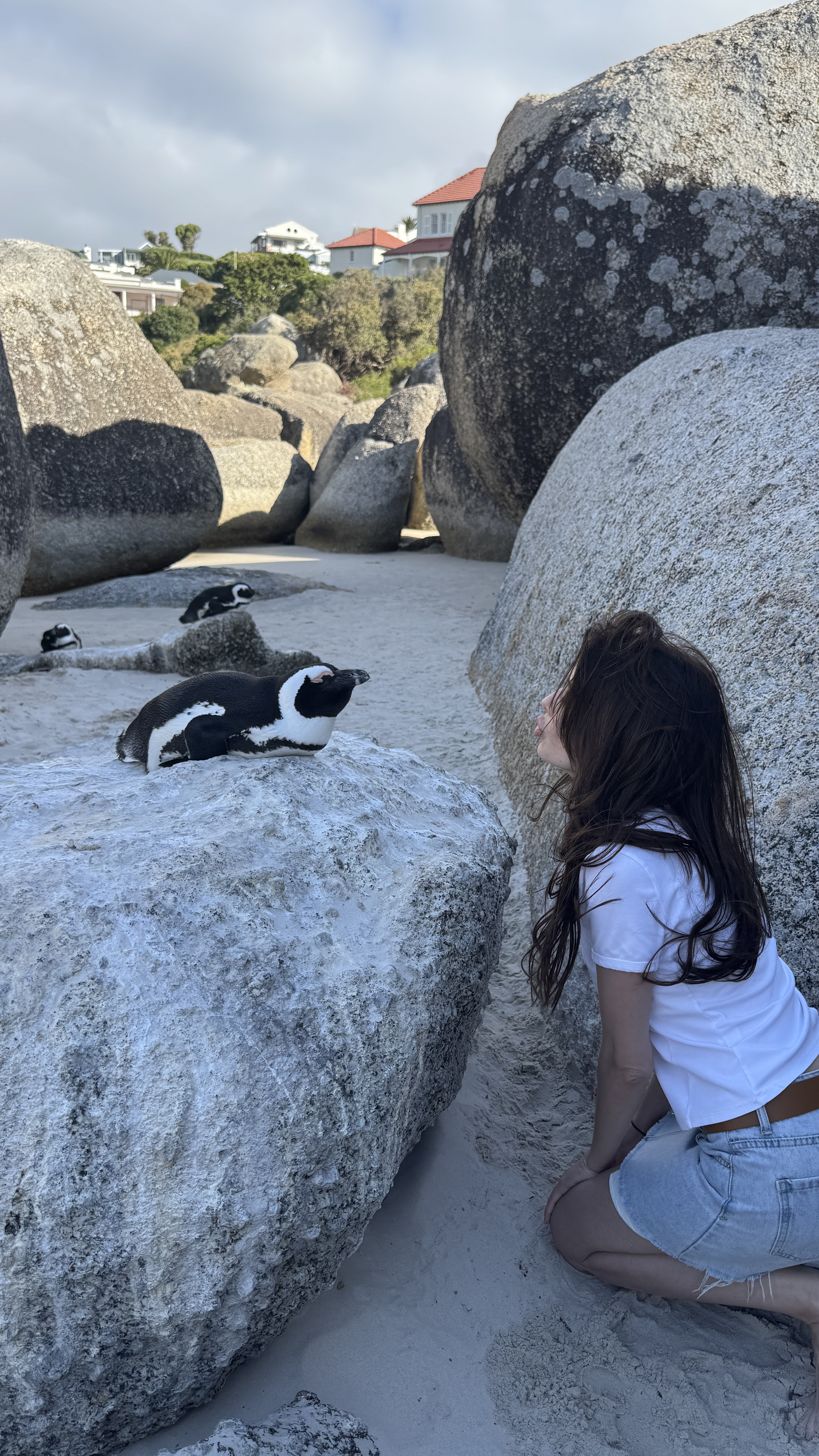 Юар - знакомство с Африкой, которое запомнится навсегда (4/59)