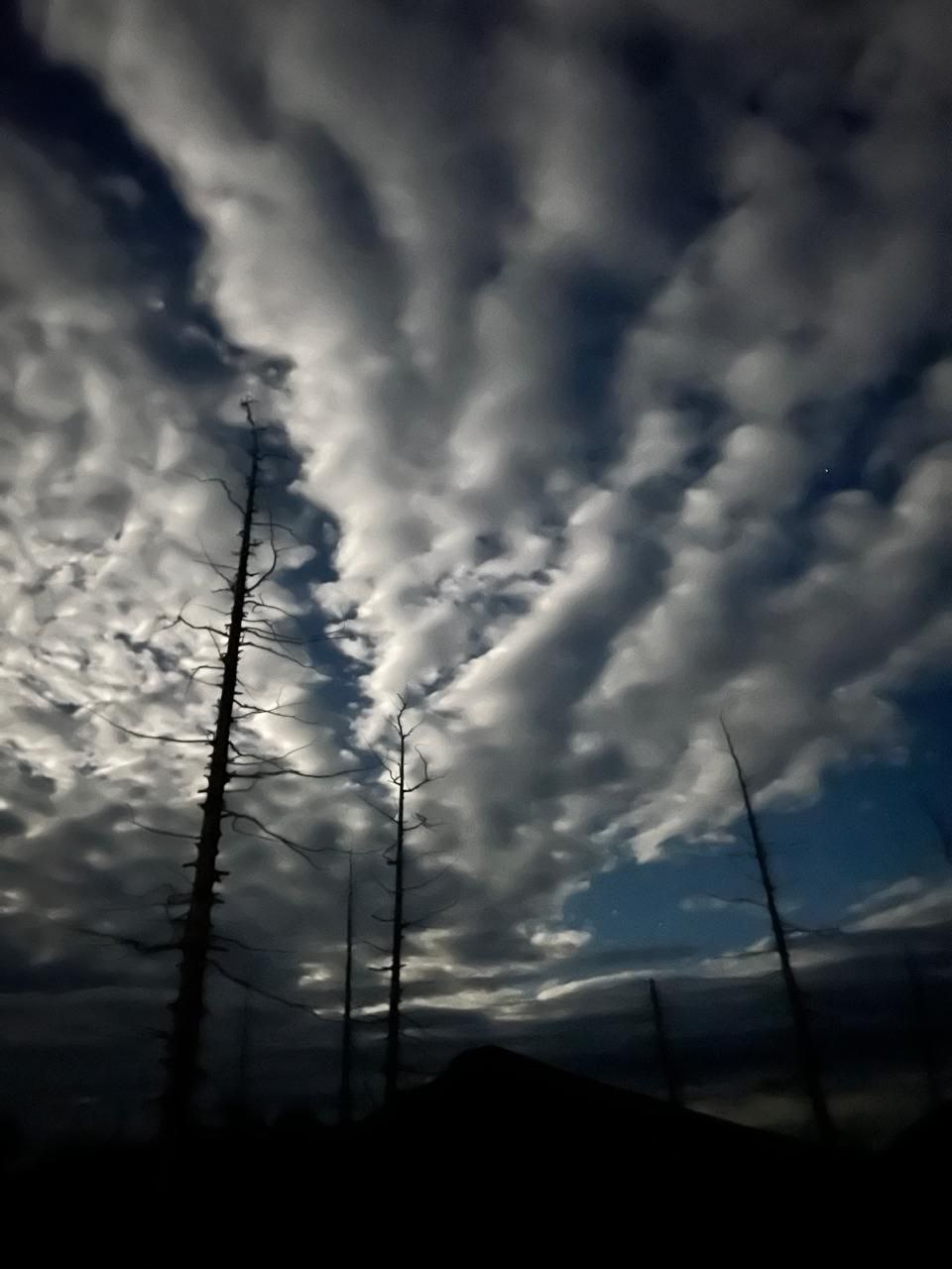 Путешествие в сердце Камчатки (тур для компаний 1-4 чел., цена за всех) (14/28)