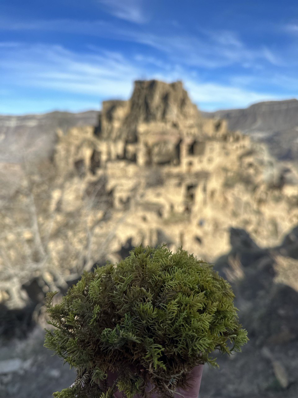 Мелодия Дагестана: 5 дней Всё включено! (143/436)