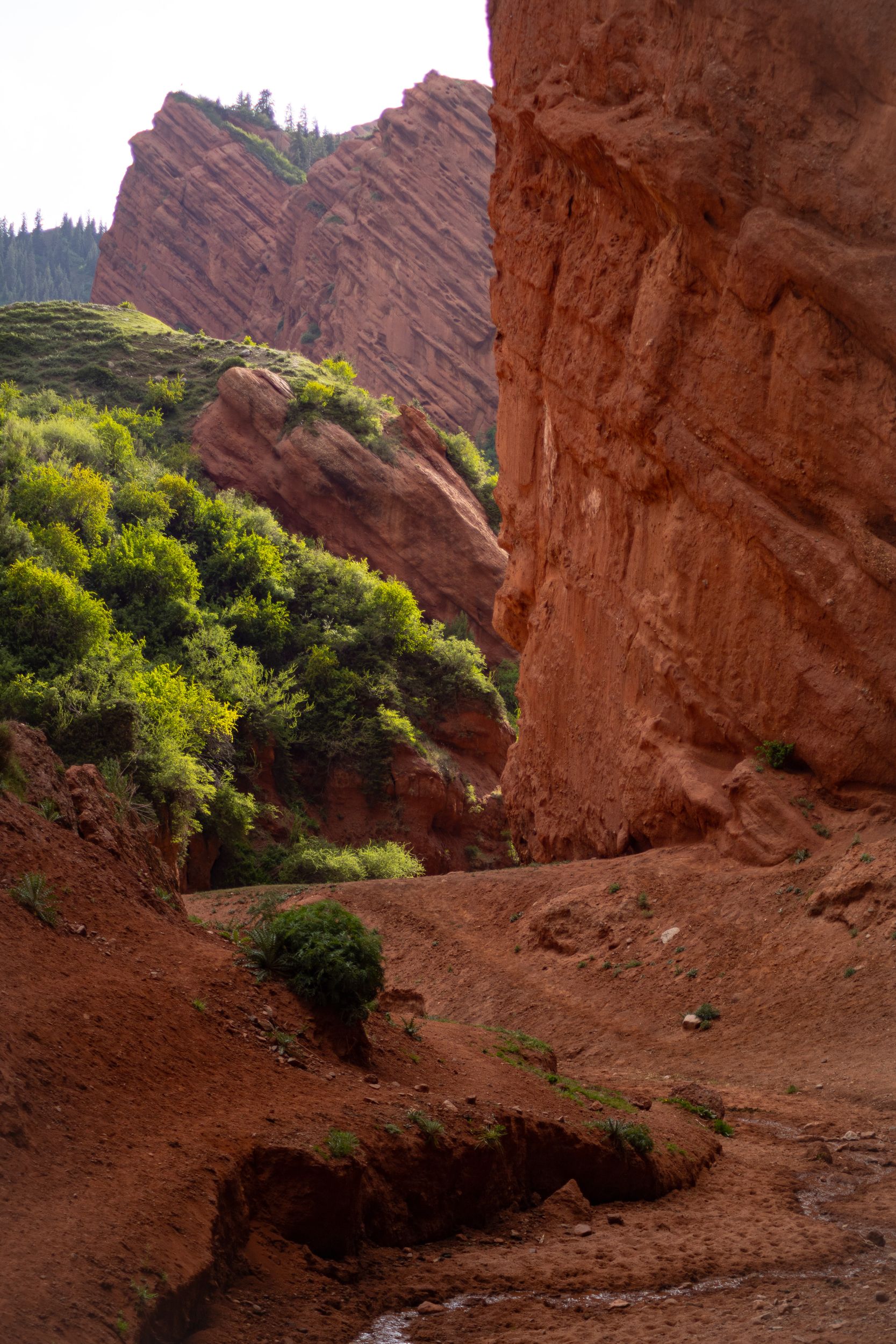 Солнечный Кыргызстан с профессиональным фотографом (17/45)