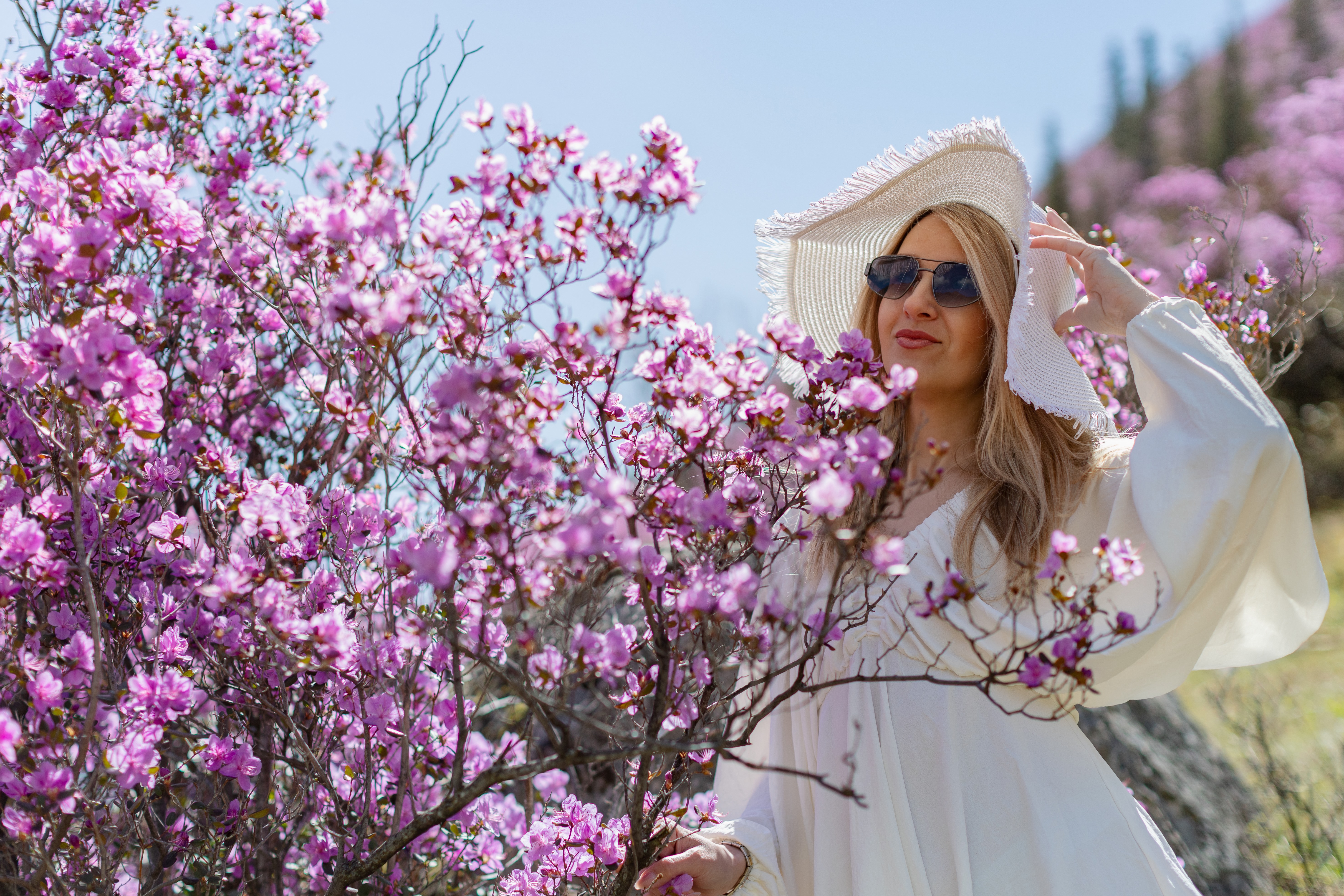 Дорога по Чуйскому тракту