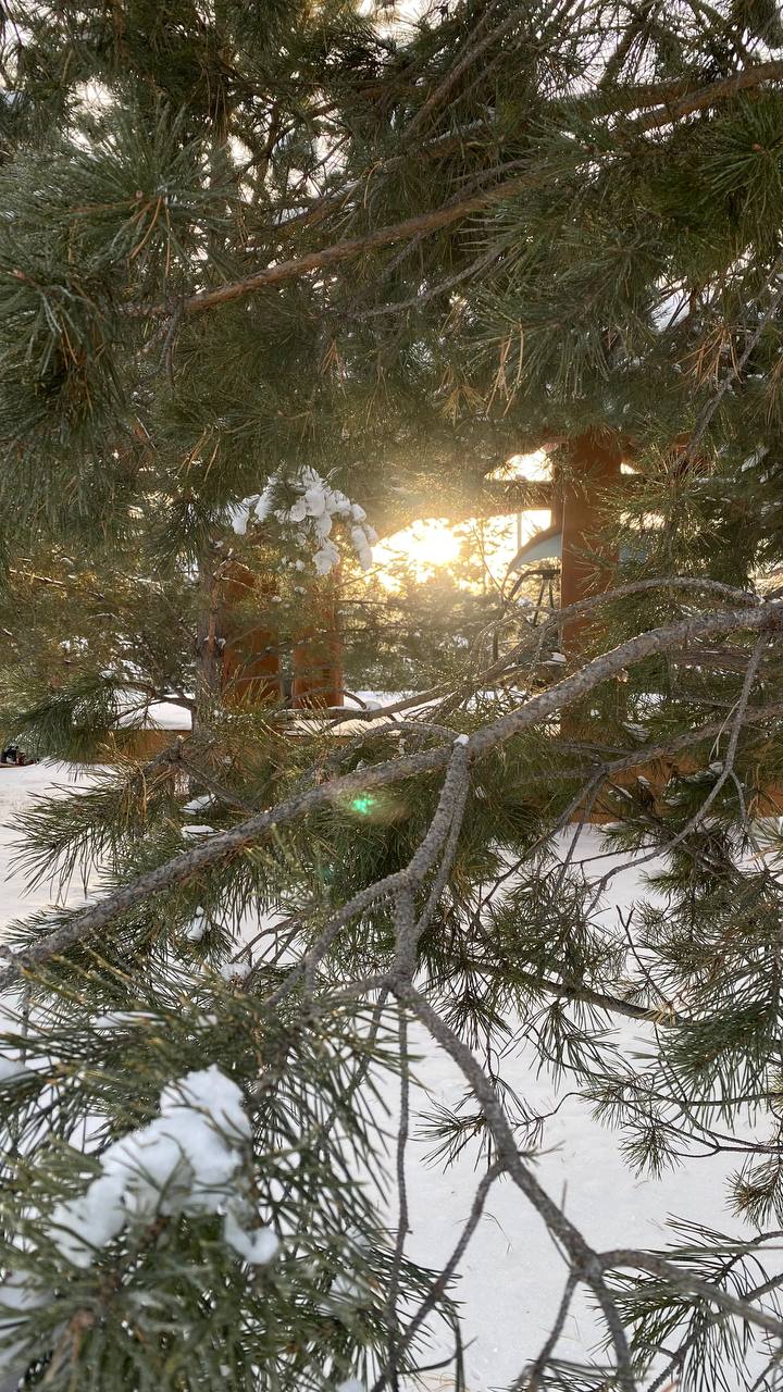 Авторский ретрит молчания: вспомни себя (20/26)