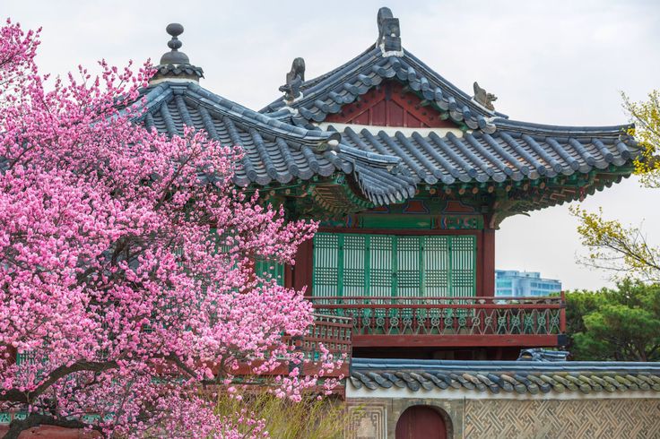 Beauty Тур мечты в Южную Корею. Premium тур (25/54)