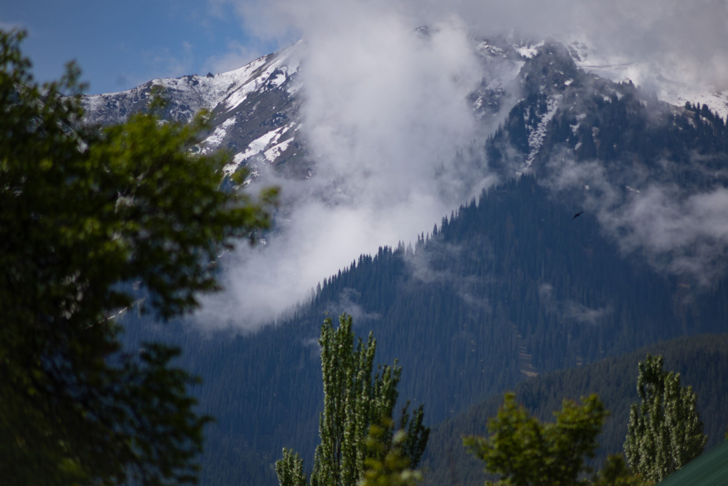Солнечный Кыргызстан с профессиональным фотографом (44/45)
