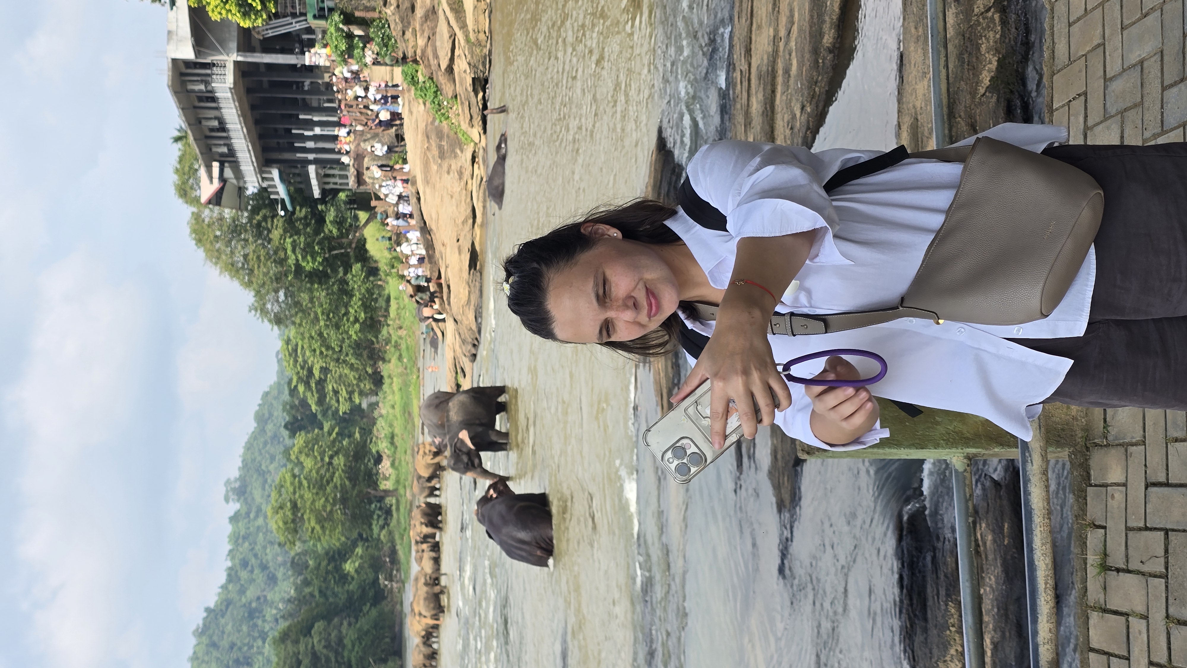 Вибрации Шри-Ланки: практика медитации в топ локациях за 9 дней (44/58)