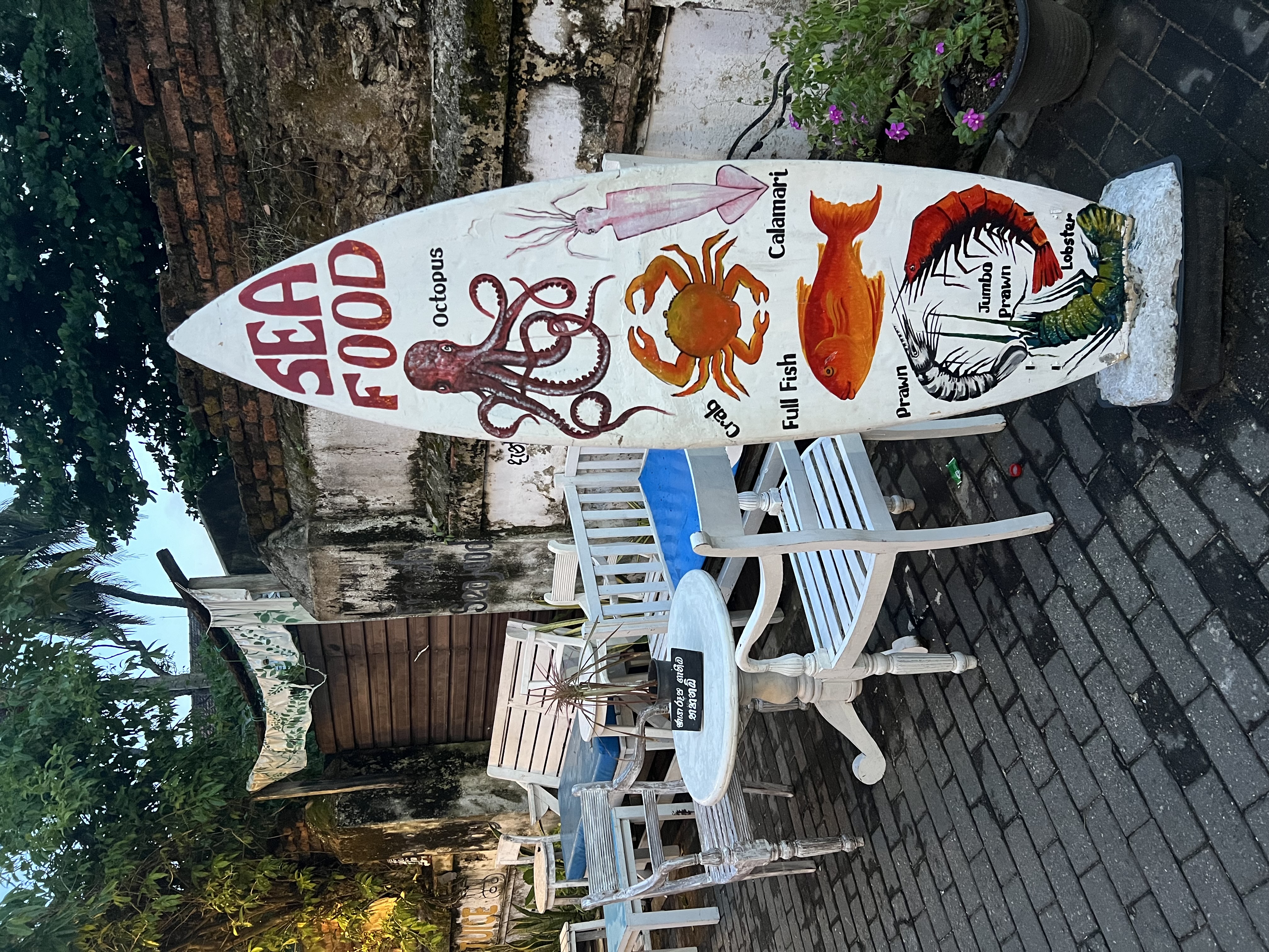 Вибрации Шри-Ланки: практика медитации в топ локациях за 9 дней (40/58)