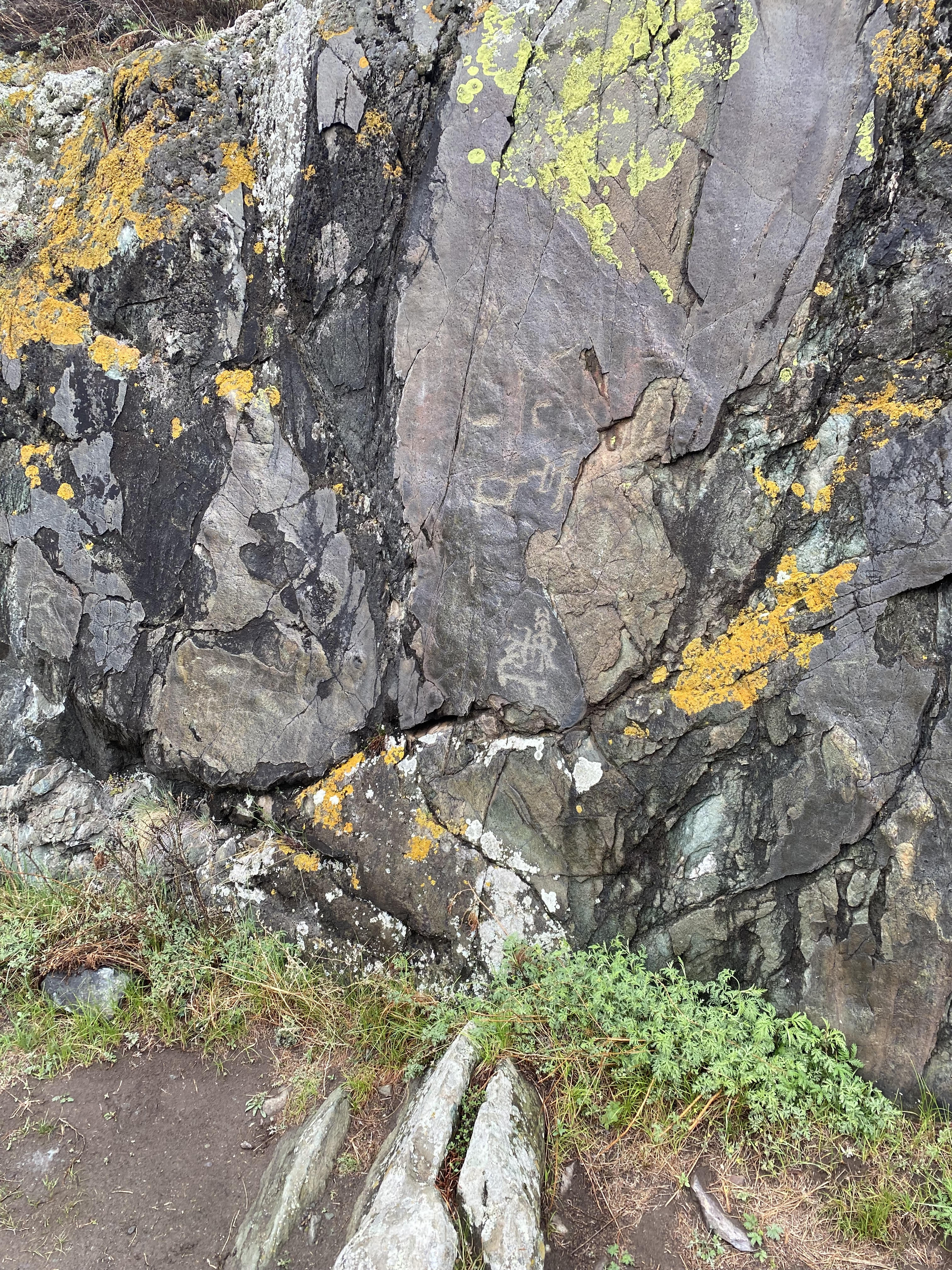 Йога-тур в долине неолита на Алтае! (7/49)