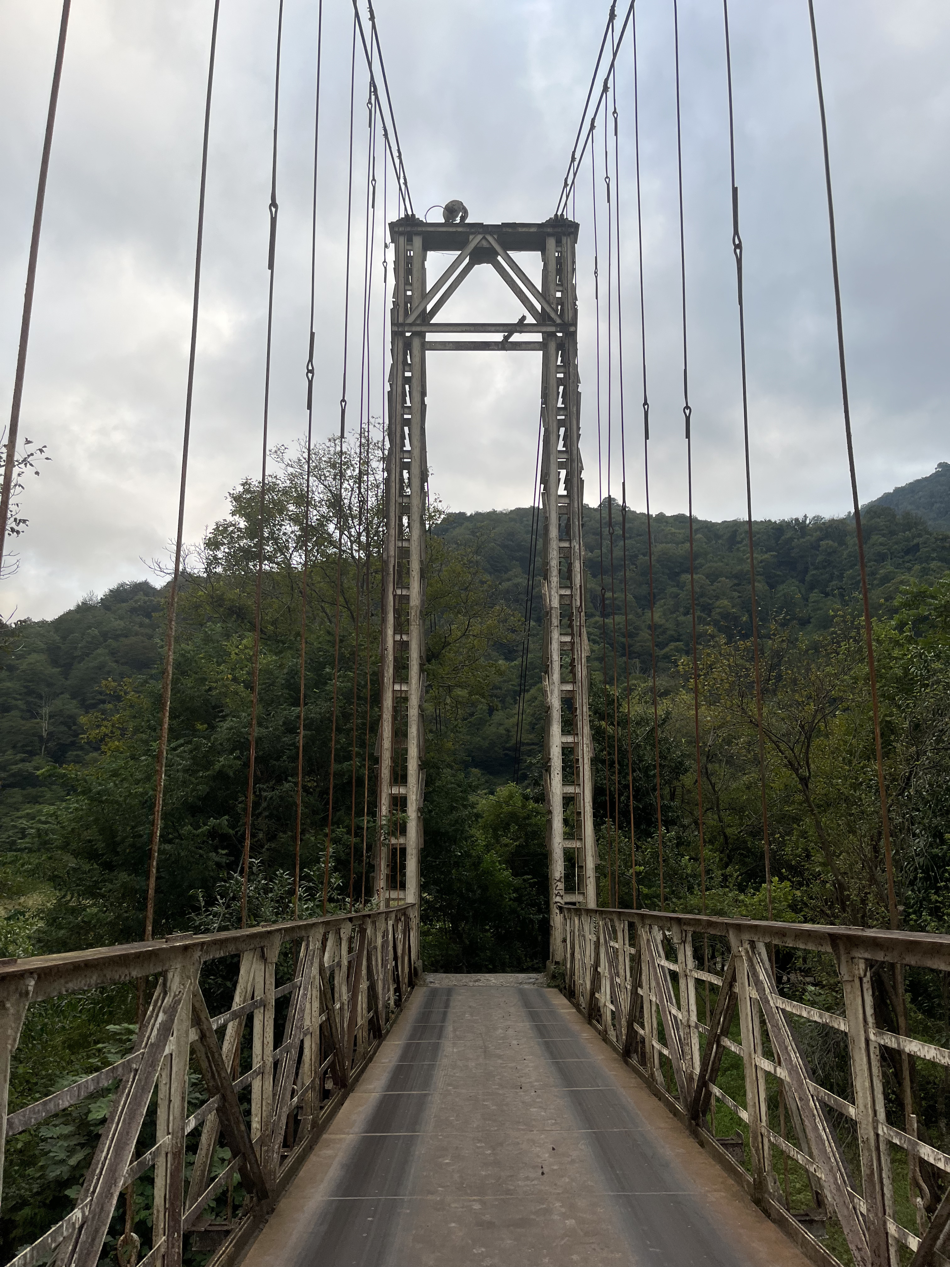 Девичник в Грузию с посещением концерта Меладзе (7/26)
