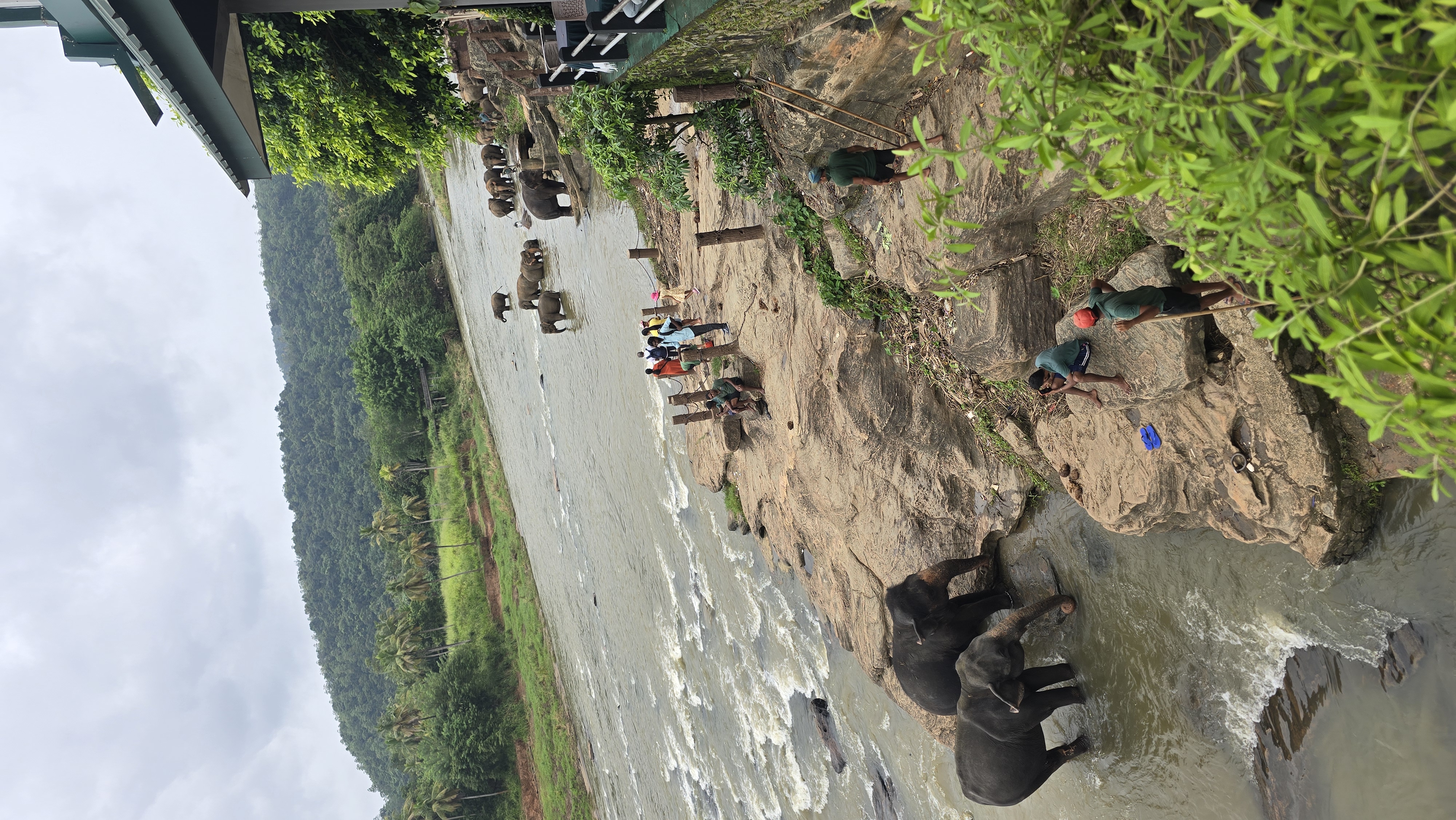 Вибрации Шри-Ланки: практика медитации в топ локациях за 9 дней (26/58)