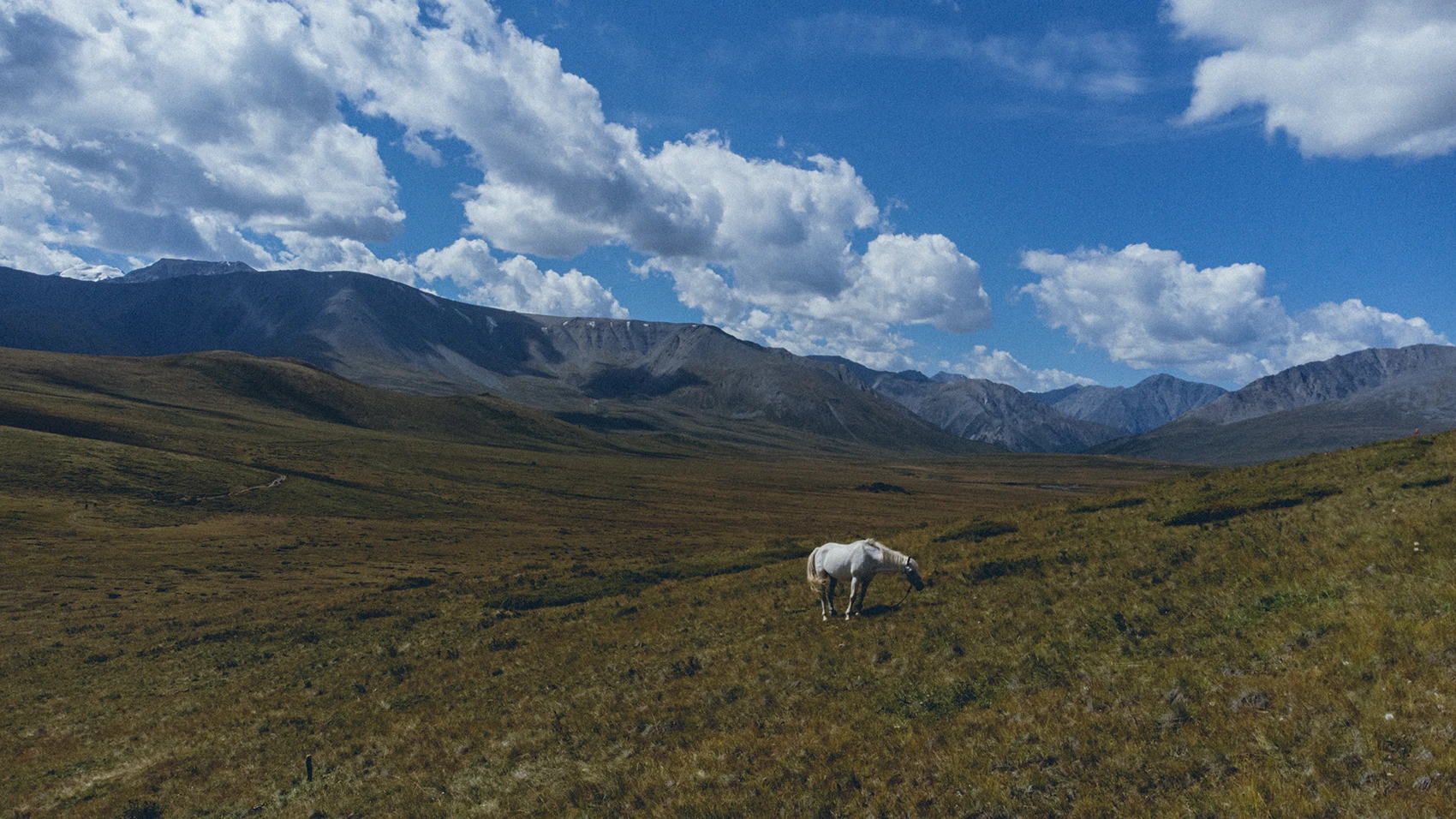 Алтай. Шавлинские озера (20/38)