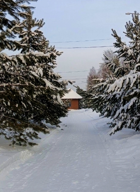 Авторский ретрит молчания: вспомни себя (8/26)