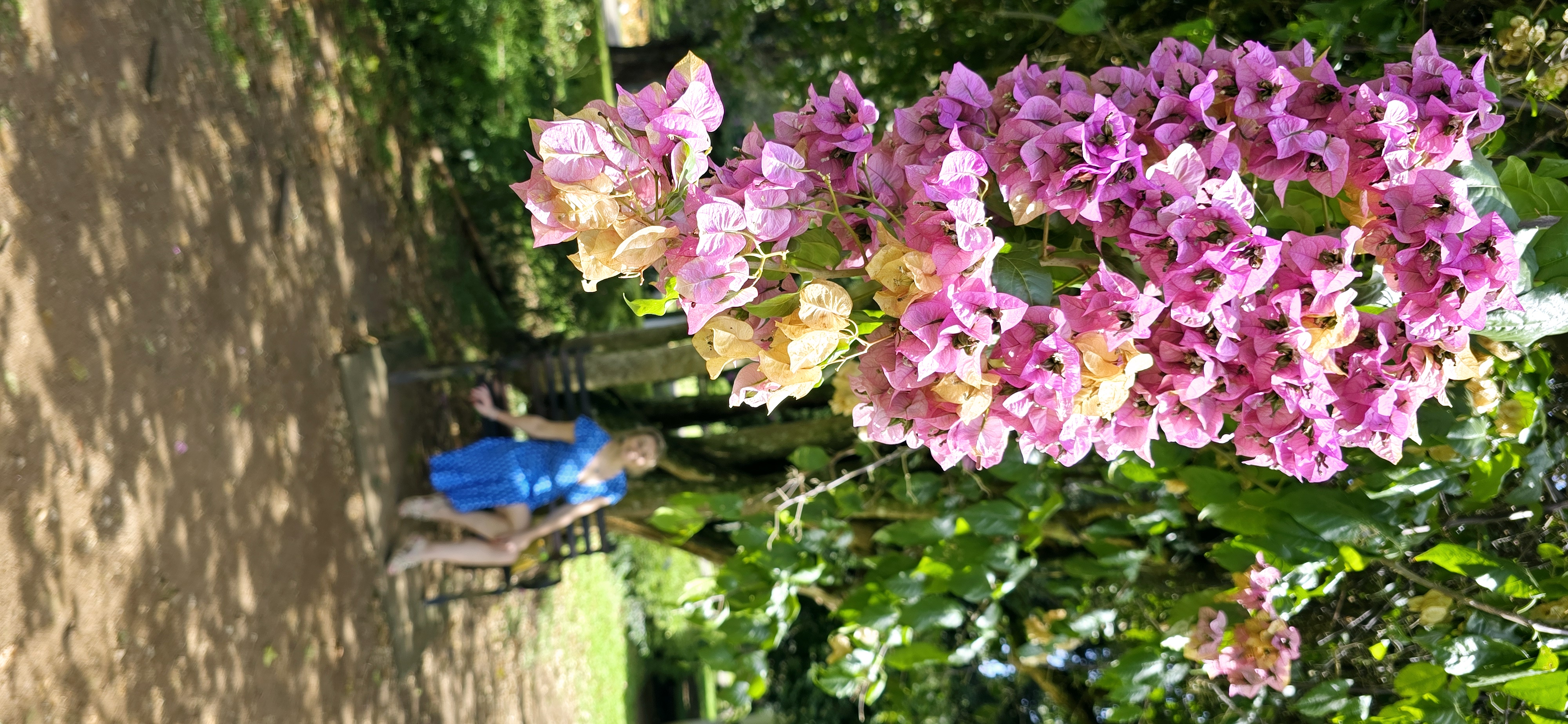 Вибрации Шри-Ланки: практика медитации в топ локациях за 9 дней (22/58)