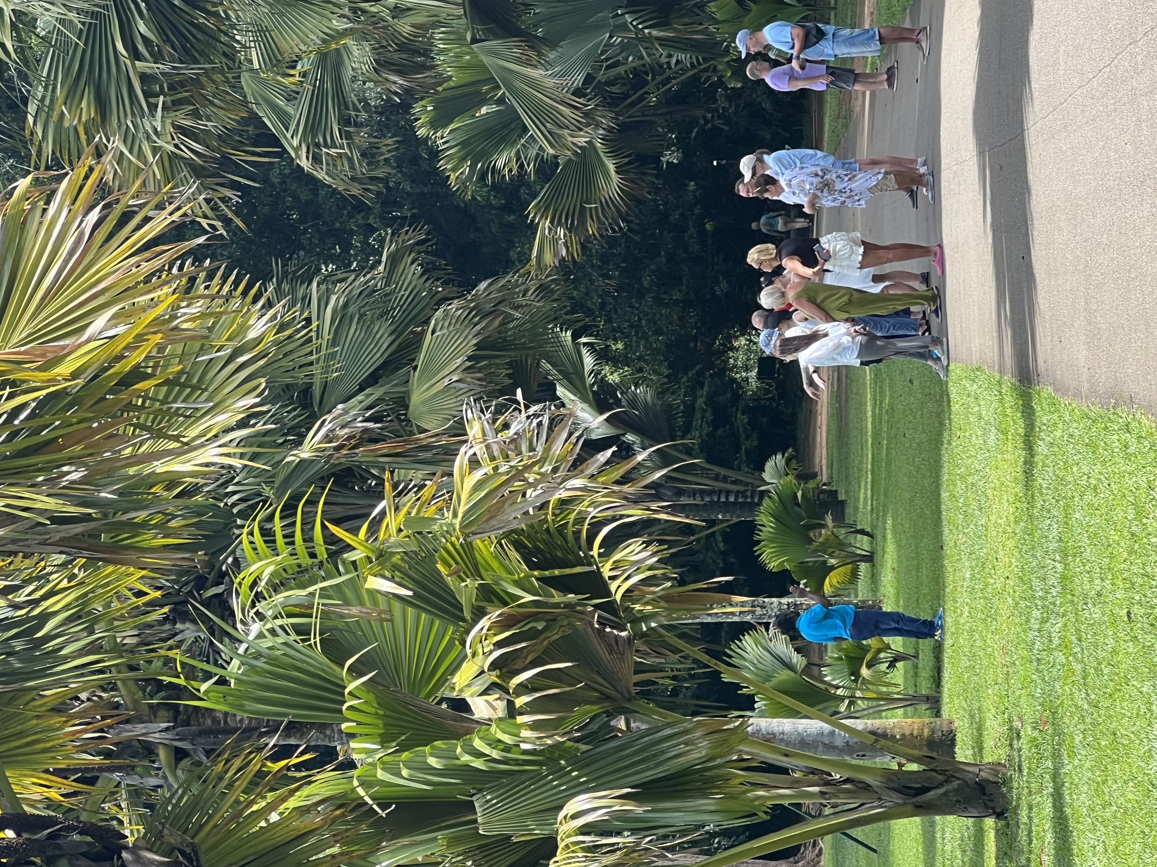 Вибрации Шри-Ланки: практика медитации в топ локациях за 9 дней (21/58)