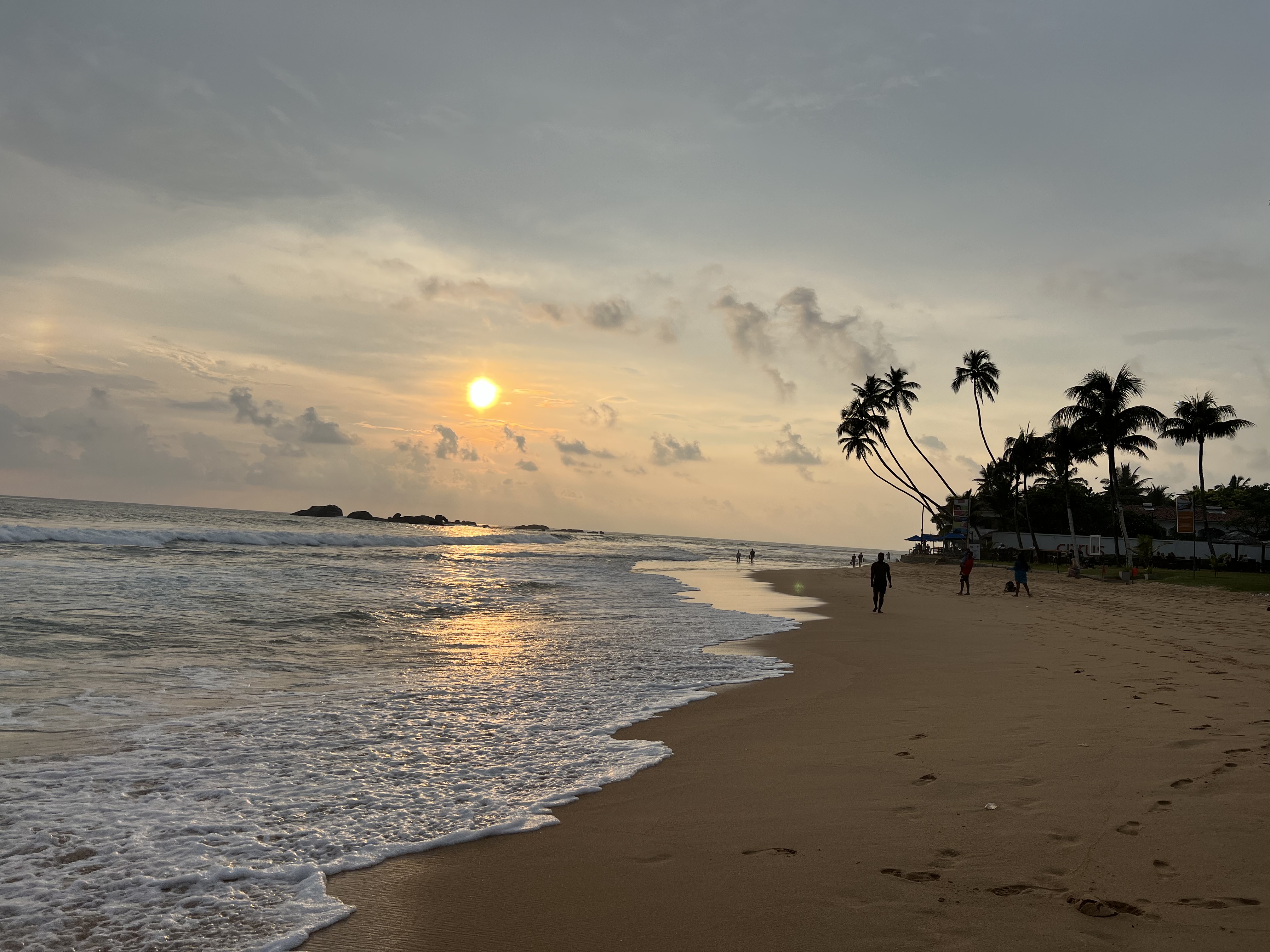 Вибрации Шри-Ланки: практика медитации в топ локациях за 9 дней (39/58)