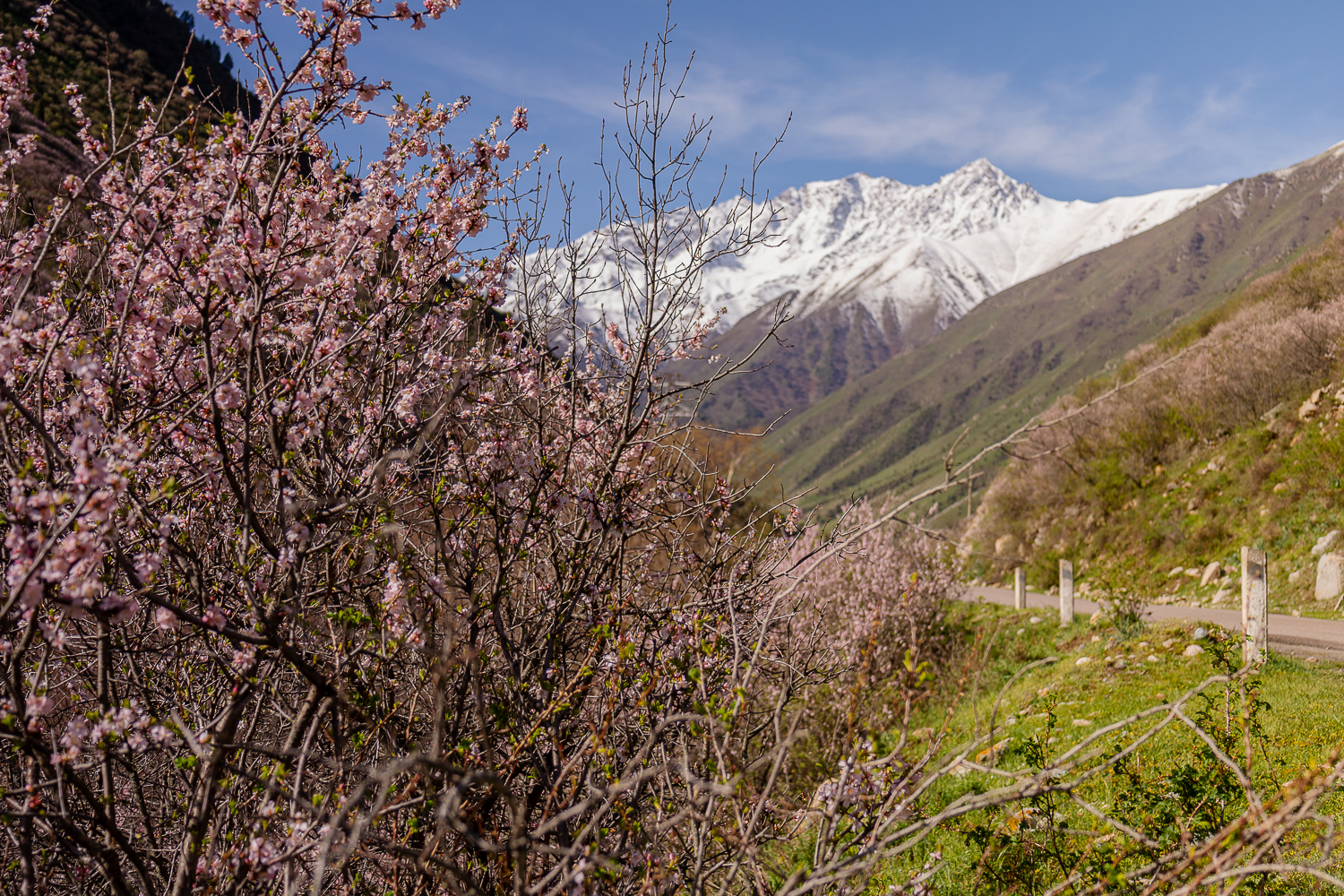 Солнечный Кыргызстан с профессиональным фотографом (20/45)