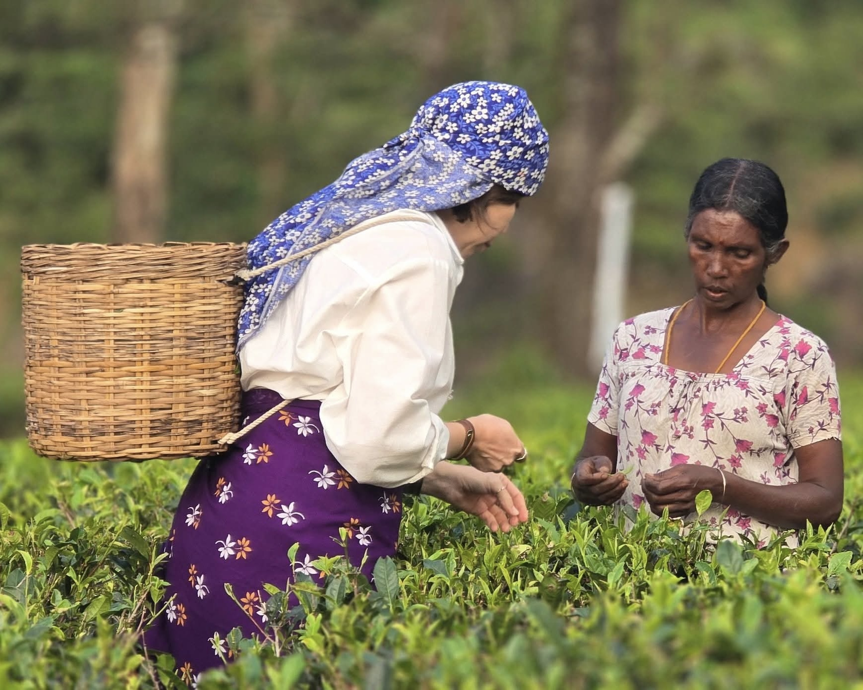 Вибрации Шри-Ланки: практика медитации в топ локациях за 9 дней (48/58)