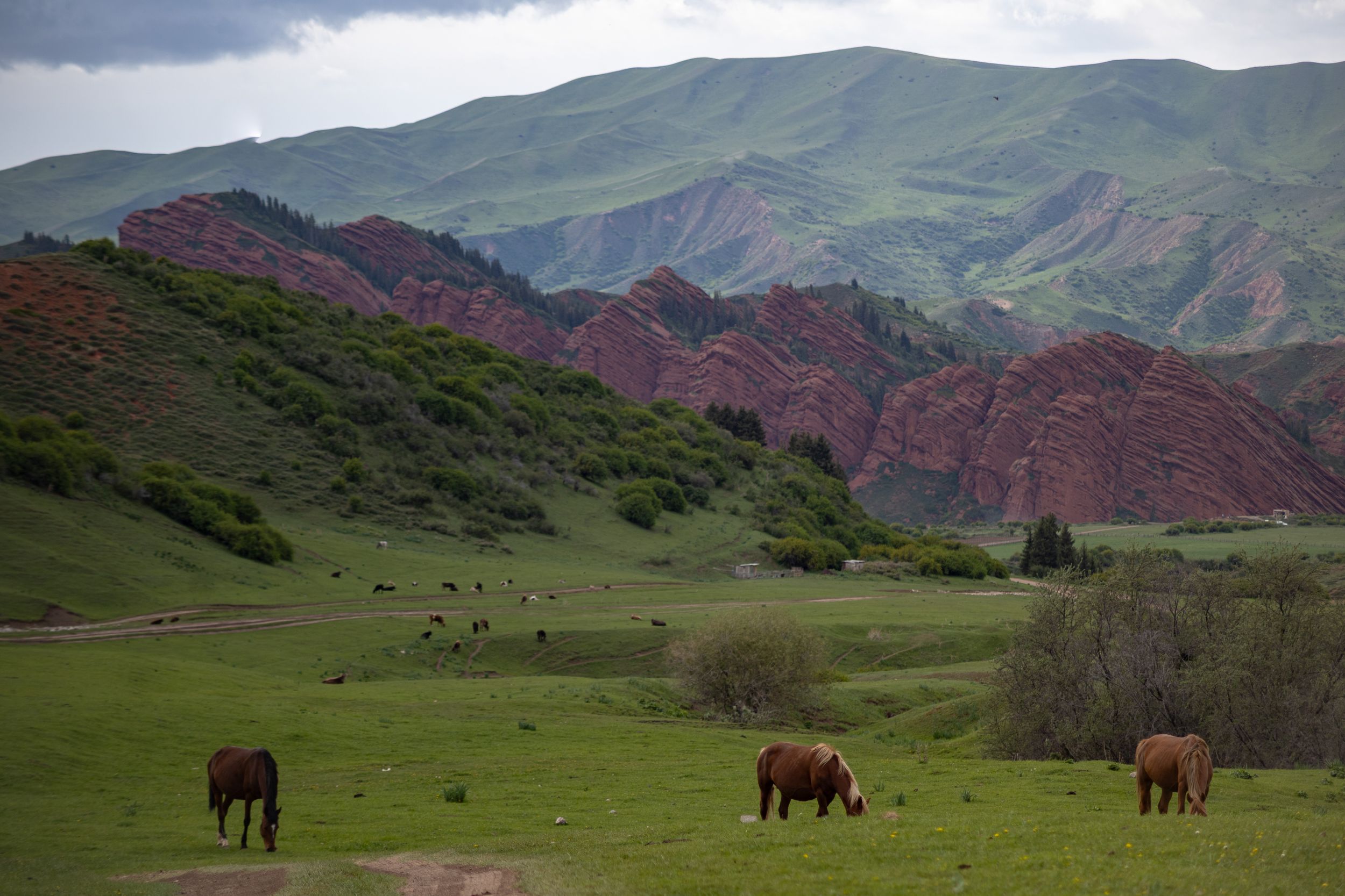 Солнечный Кыргызстан с профессиональным фотографом (12/45)