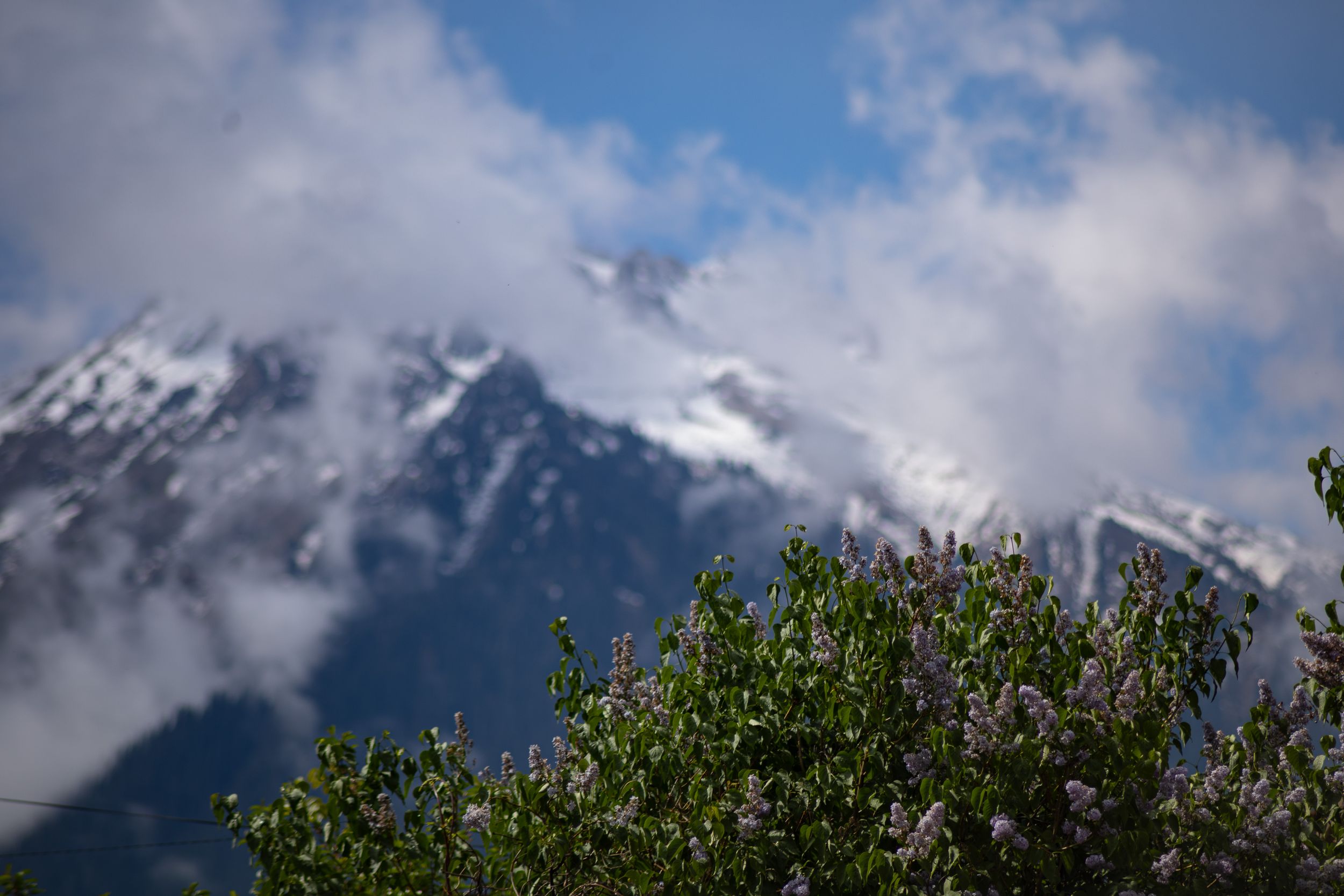 Солнечный Кыргызстан с профессиональным фотографом (18/45)