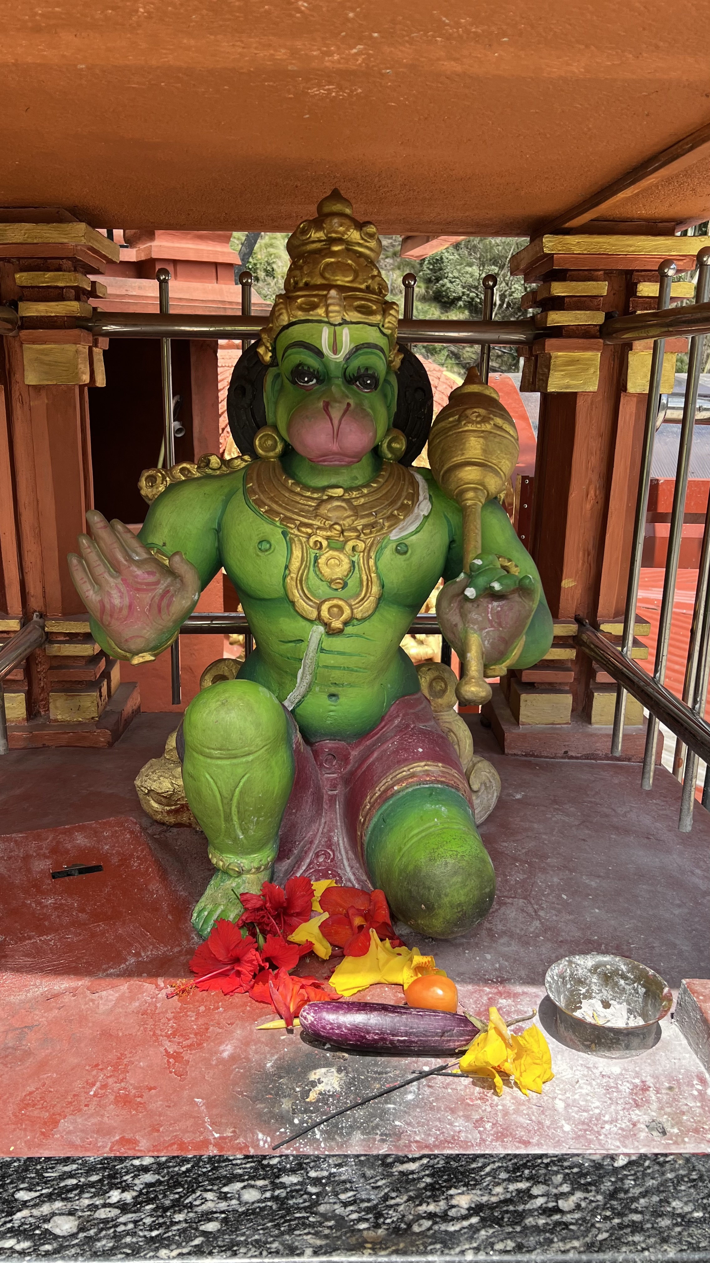 Вибрации Шри-Ланки: практика медитации в топ локациях за 9 дней (49/58)