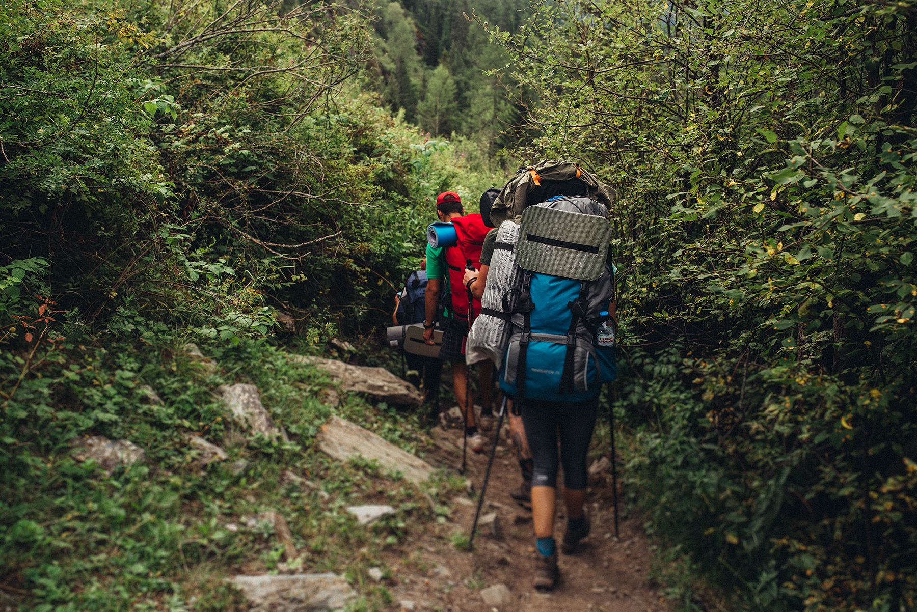 Алтай. К подножию Белухи (18/44)