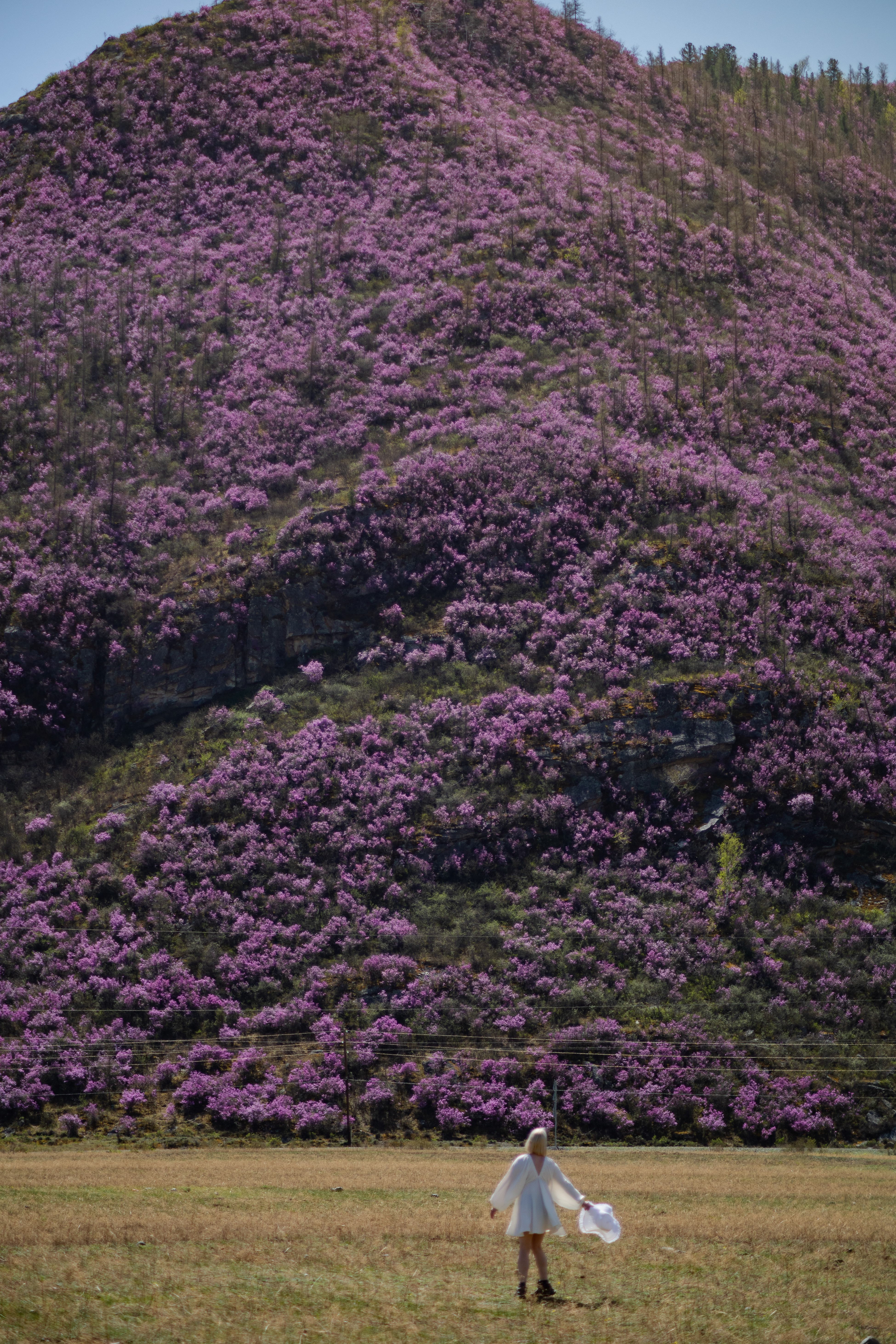 Чемальский район