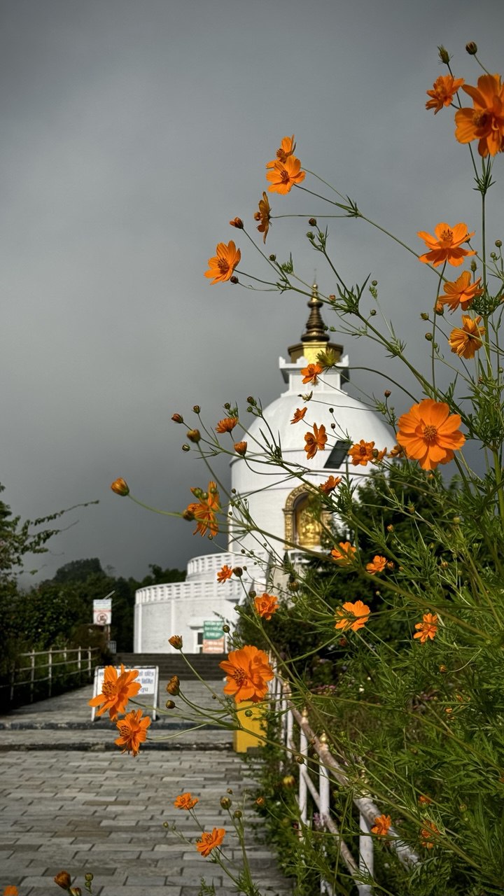 Непал. Марди Химал. Включено, дегустация чая, питание на треке, портеры, мастер класс (9/12)