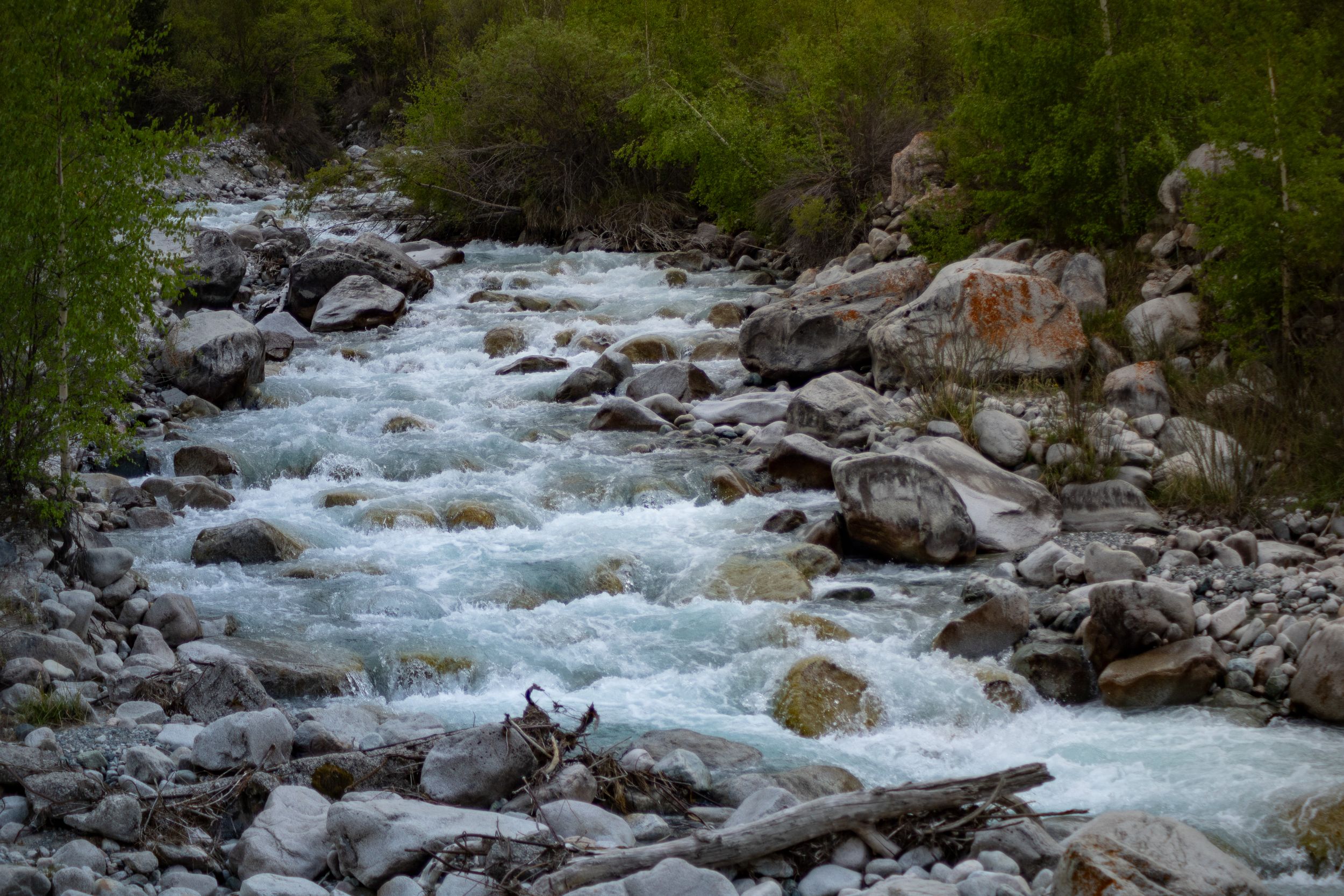 Солнечный Кыргызстан с профессиональным фотографом (6/45)