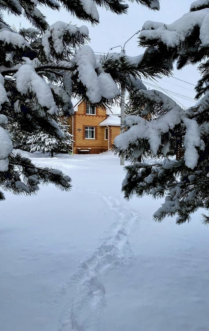 Авторский ретрит молчания: вспомни себя (1/26)