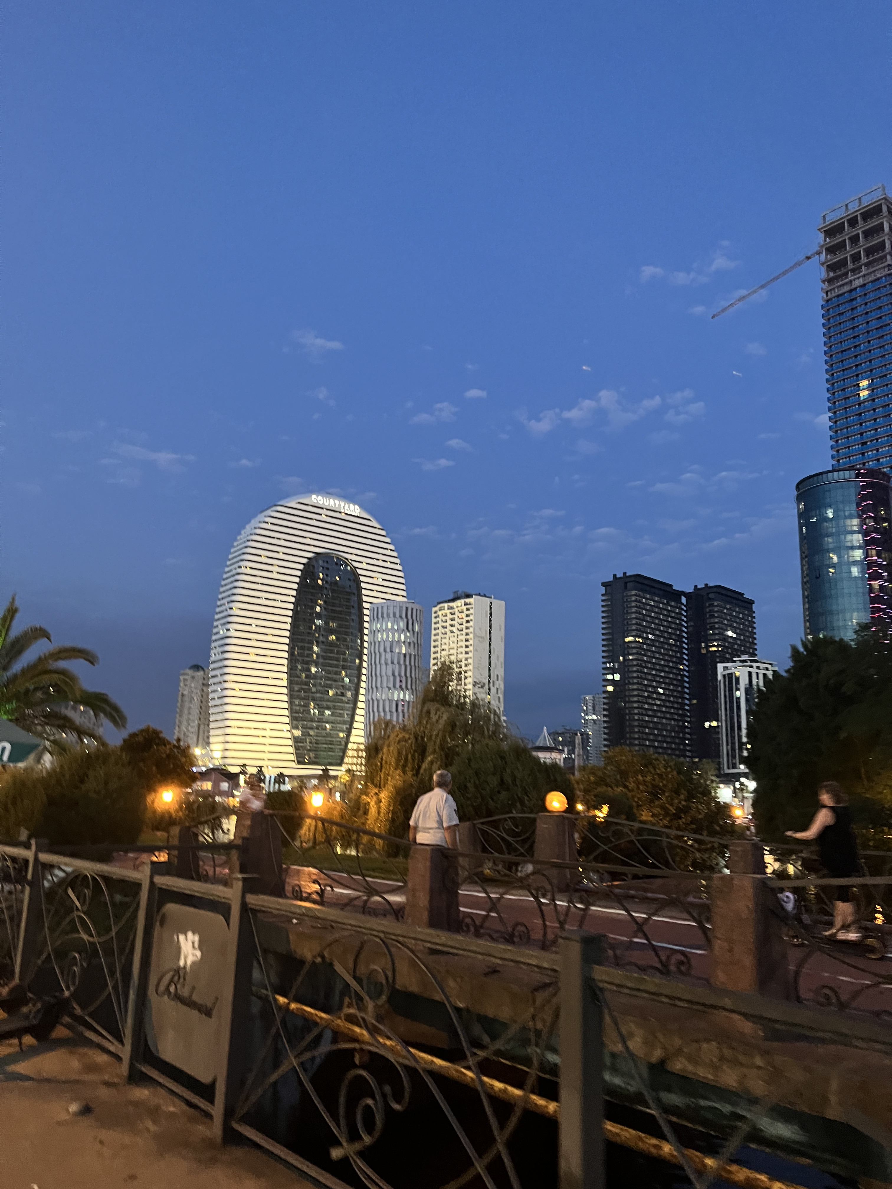 Девичник в Грузию с посещением концерта Меладзе (12/26)