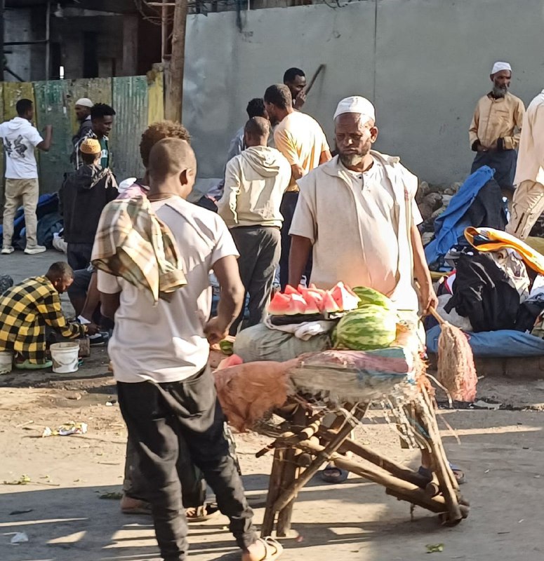 Эфиопия: родина человечества (24/30)