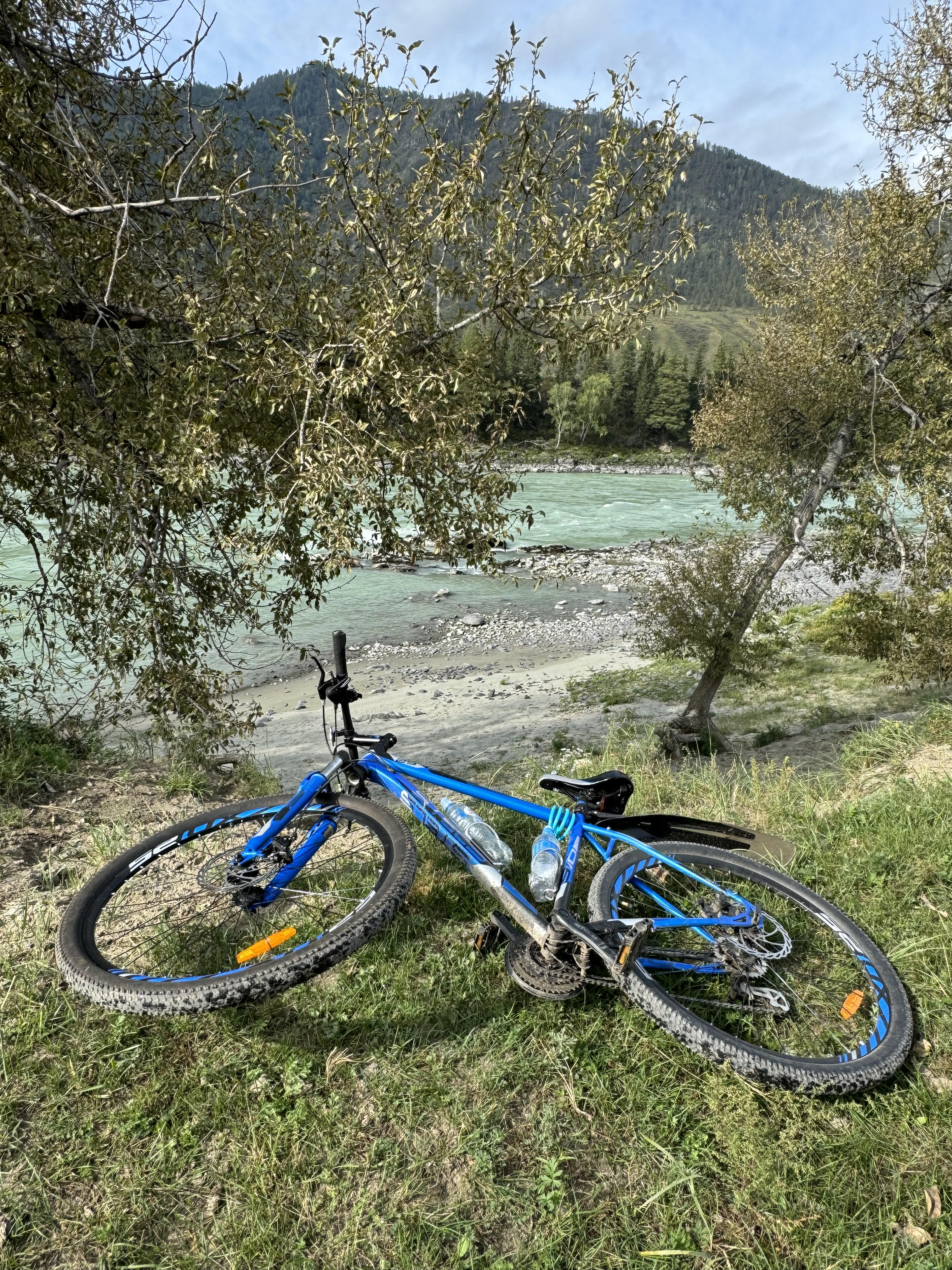 Йога-тур в долине неолита на Алтае! (20/49)